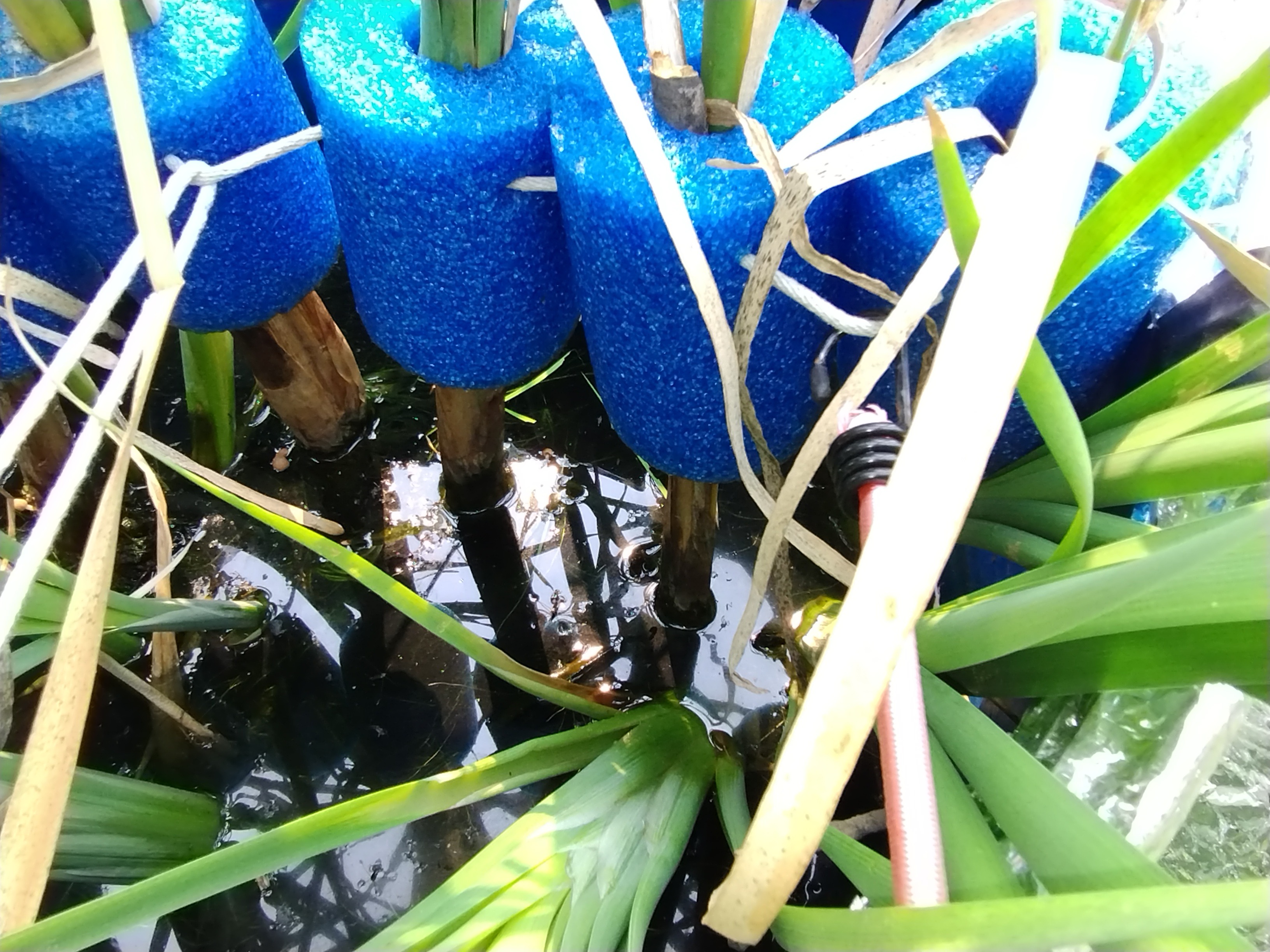 Support Erin Chute's PFAS Study for Clean Wastewater campaign photo, 2 of 8