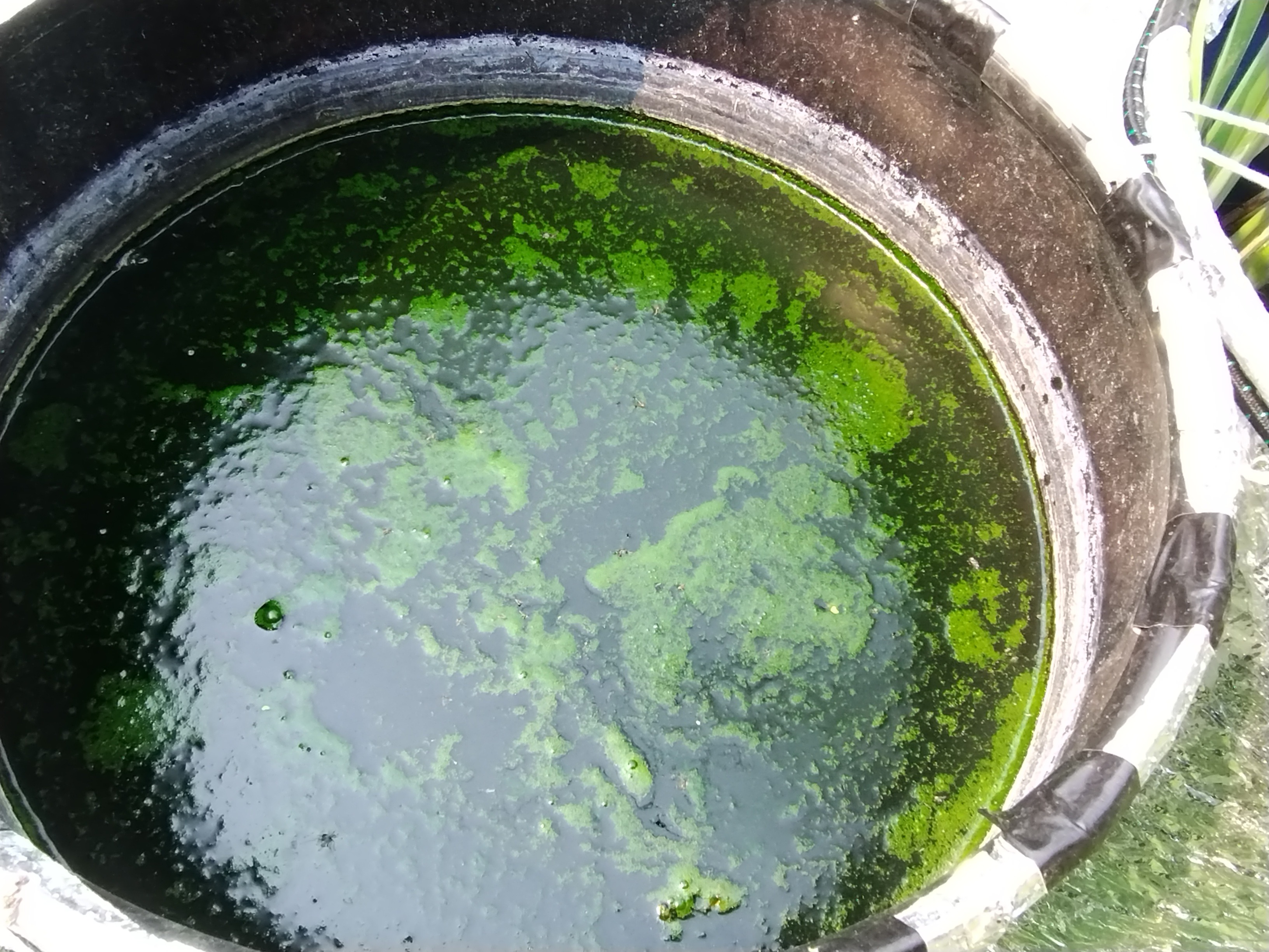 Support Erin Chute's PFAS Study for Clean Wastewater campaign photo, 4 of 8