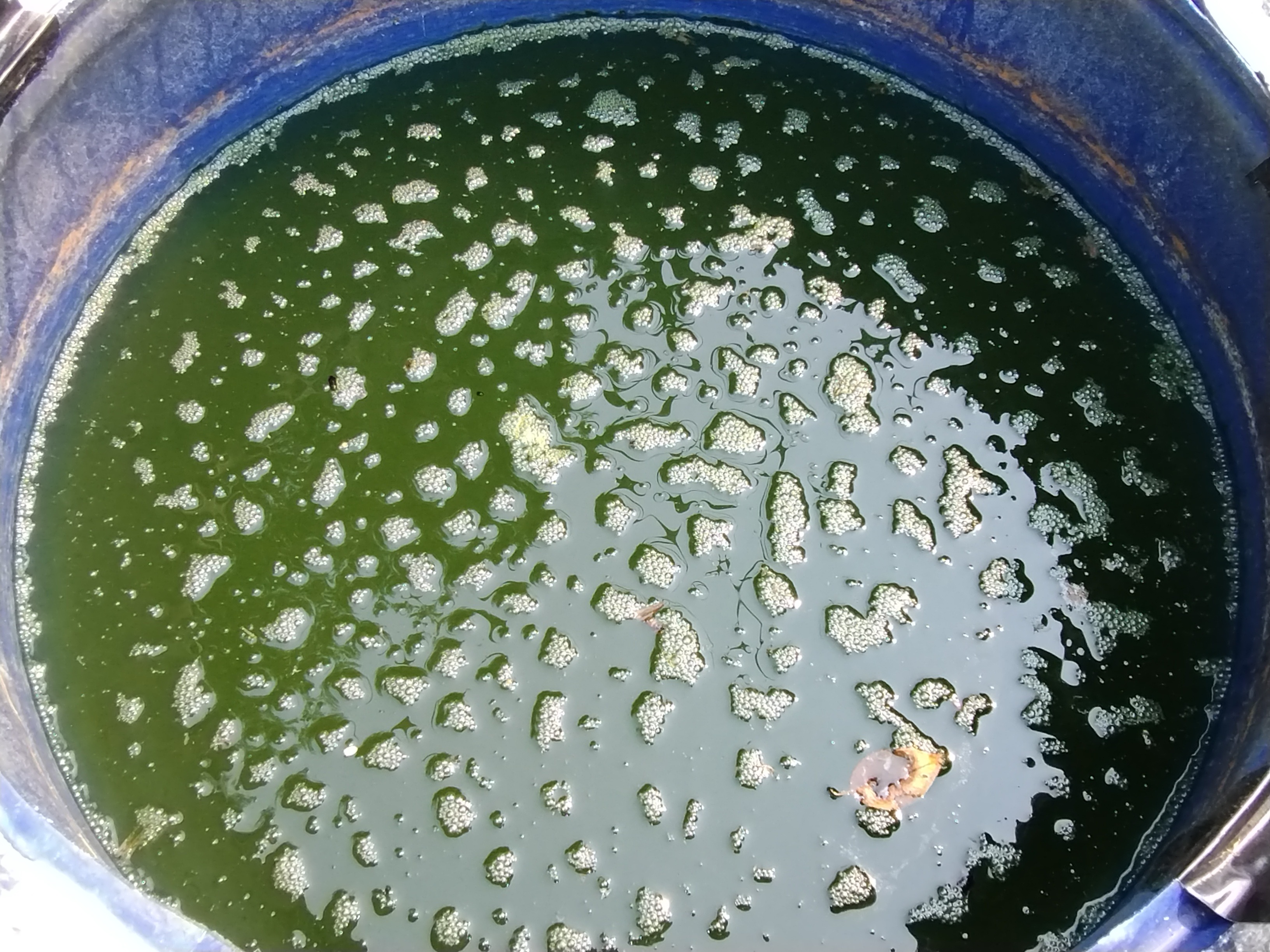 Support Erin Chute's PFAS Study for Clean Wastewater campaign photo, 5 of 8