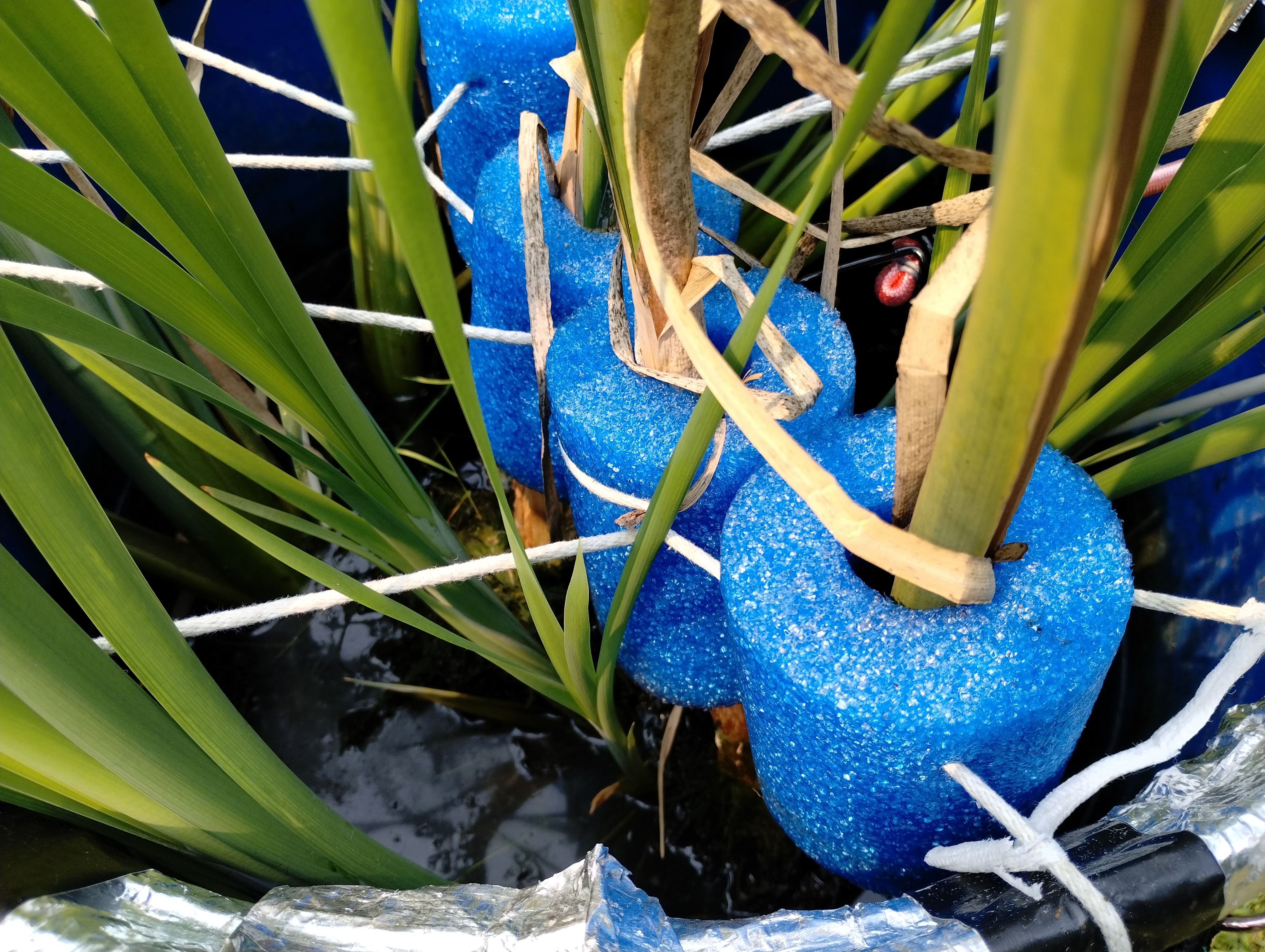 Support Erin Chute's PFAS Study for Clean Wastewater campaign photo, 6 of 8