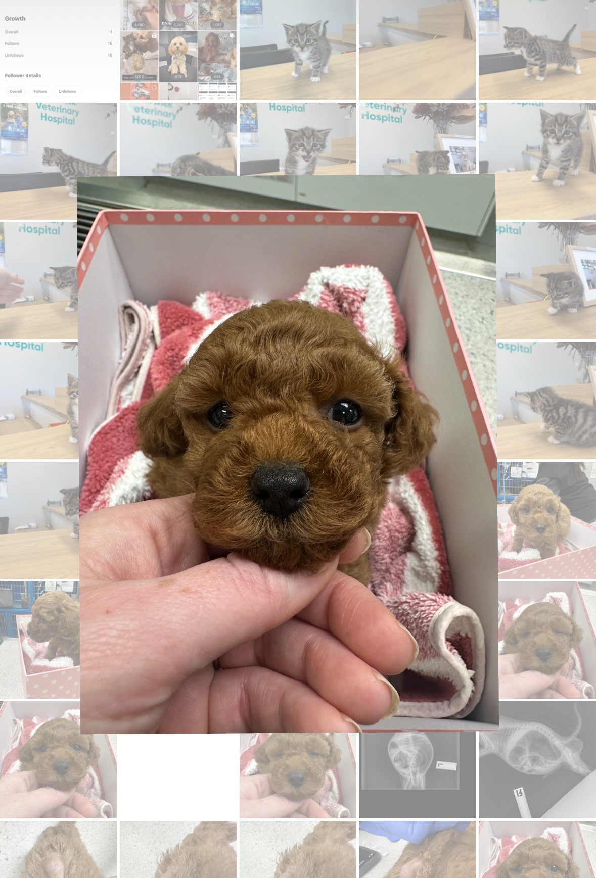 User-uploaded image 1