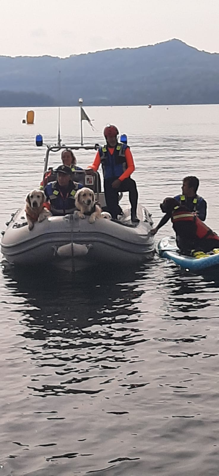 un motore per il gommone dei cani bagnino campaign photo, 2 of 8