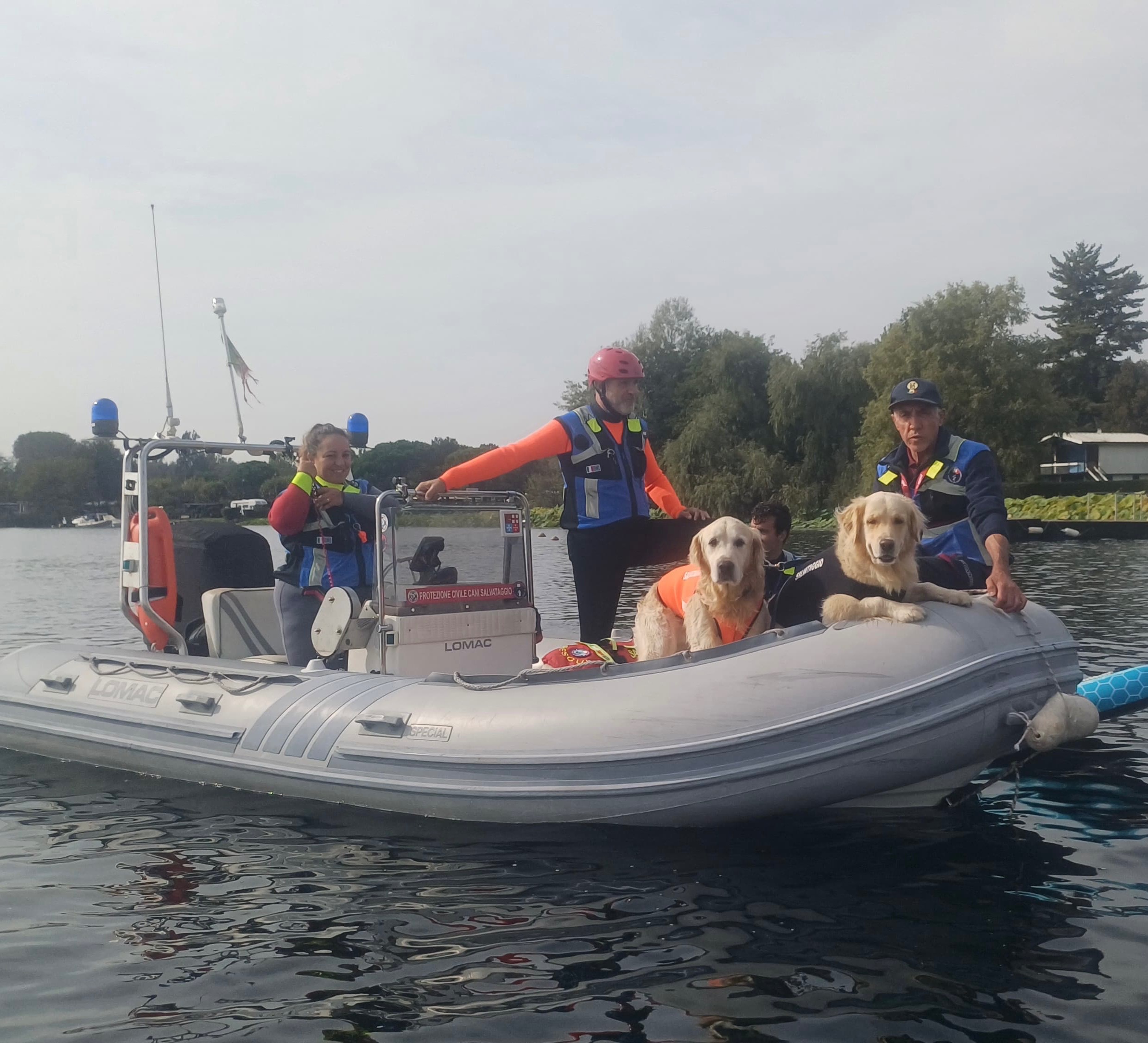 un motore per il gommone dei cani bagnino campaign photo, 5 of 8