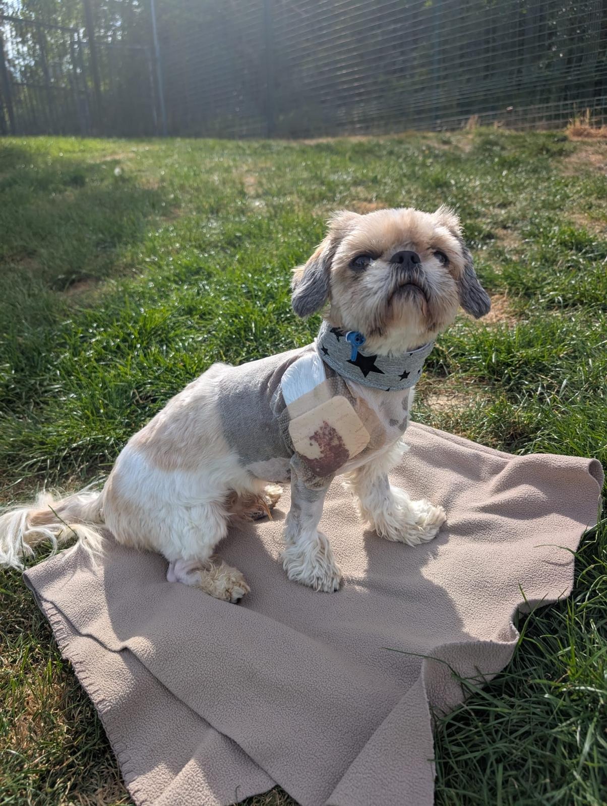 User-uploaded image 1