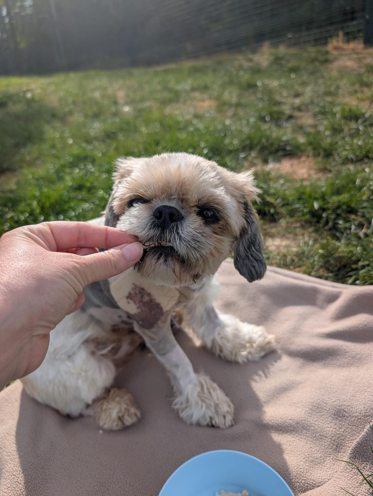 User-uploaded image 2