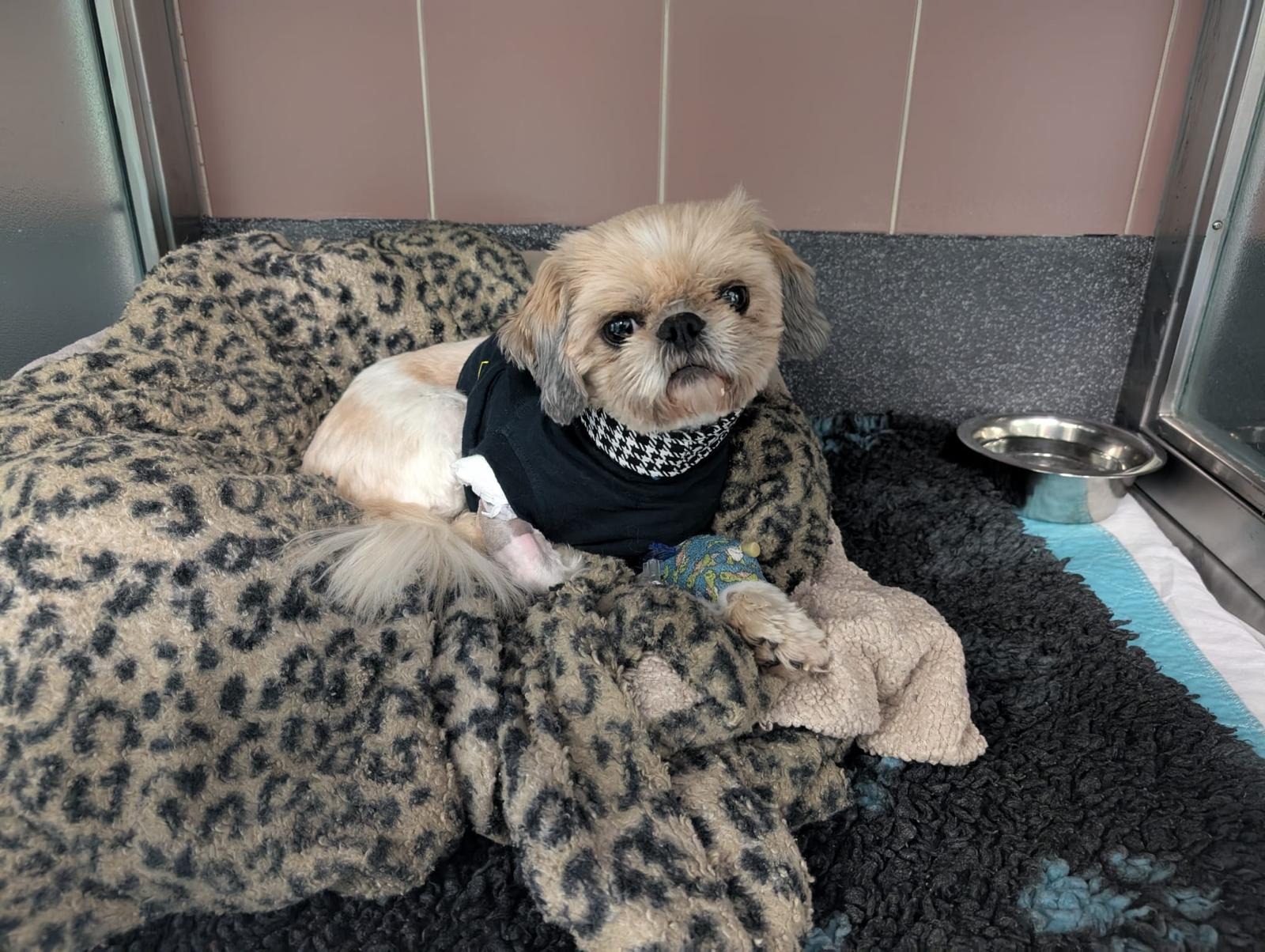 User-uploaded image 3