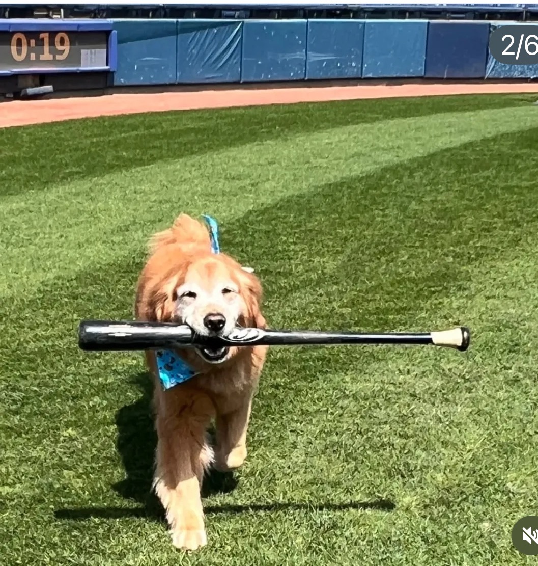 User-uploaded image 1