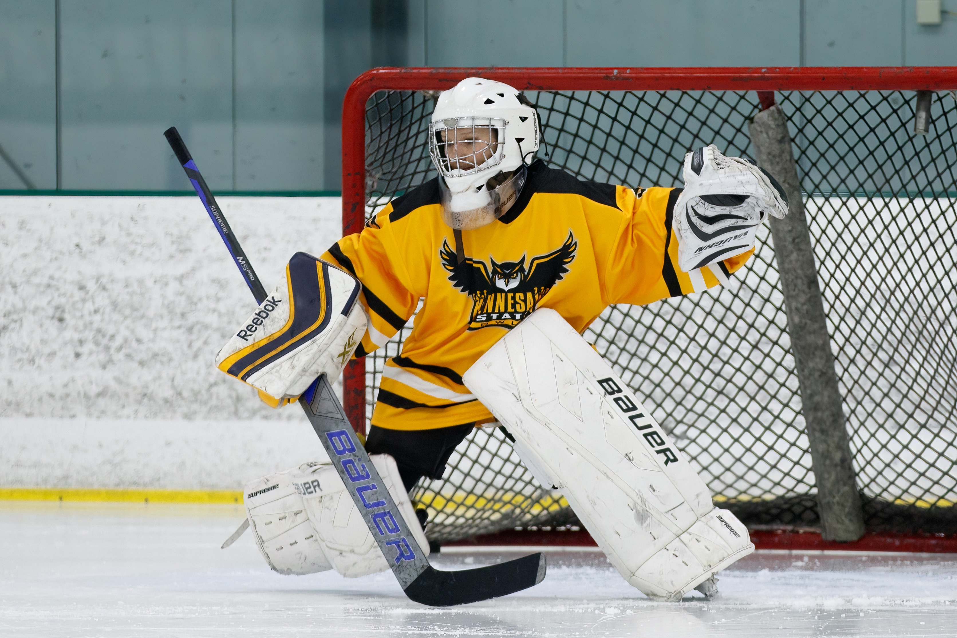 Kennesaw State Women's Ice Hockey Needs Your Help! campaign photo, 7 of 8