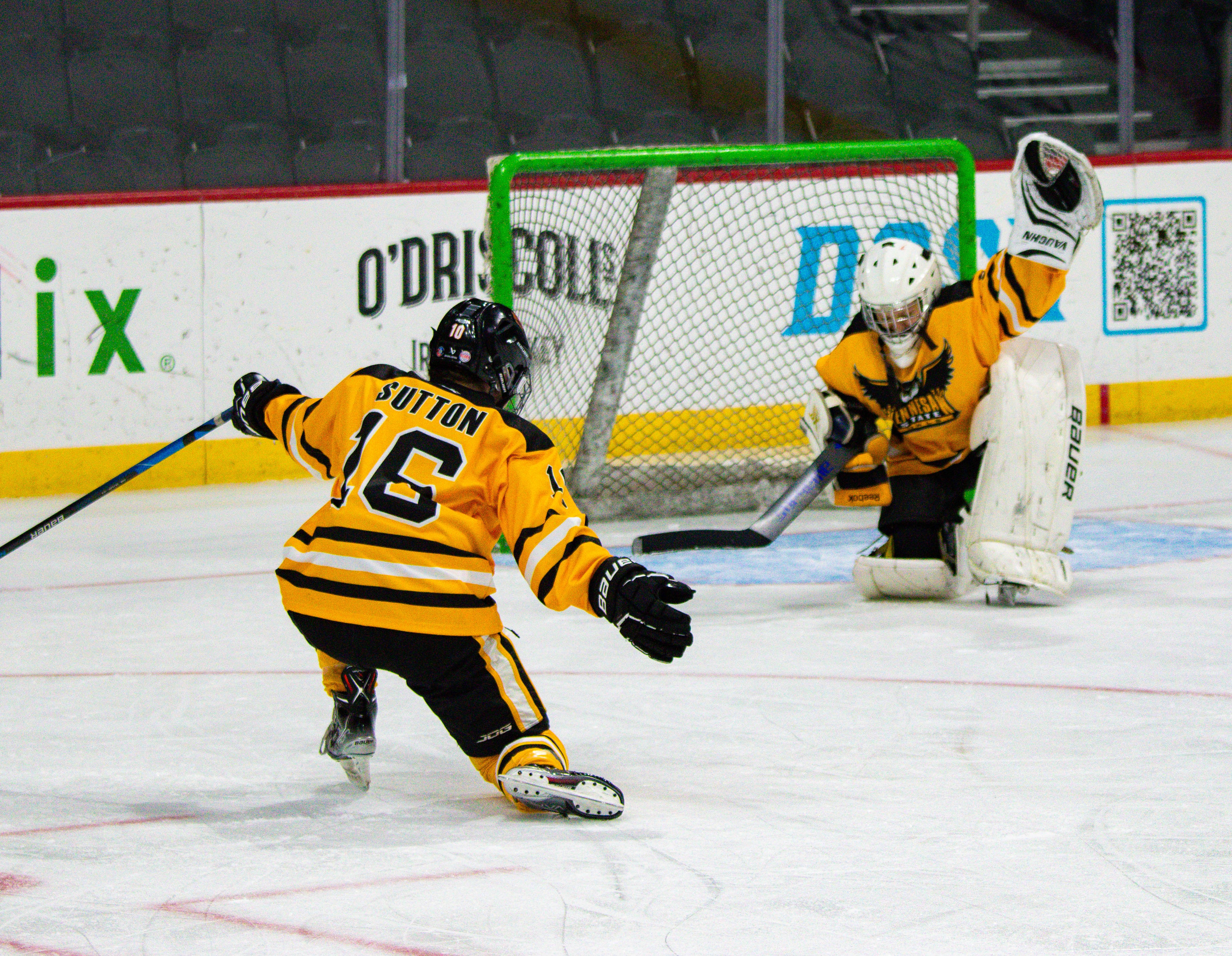 Kennesaw State Women's Ice Hockey Needs Your Help! campaign photo, 2 of 8