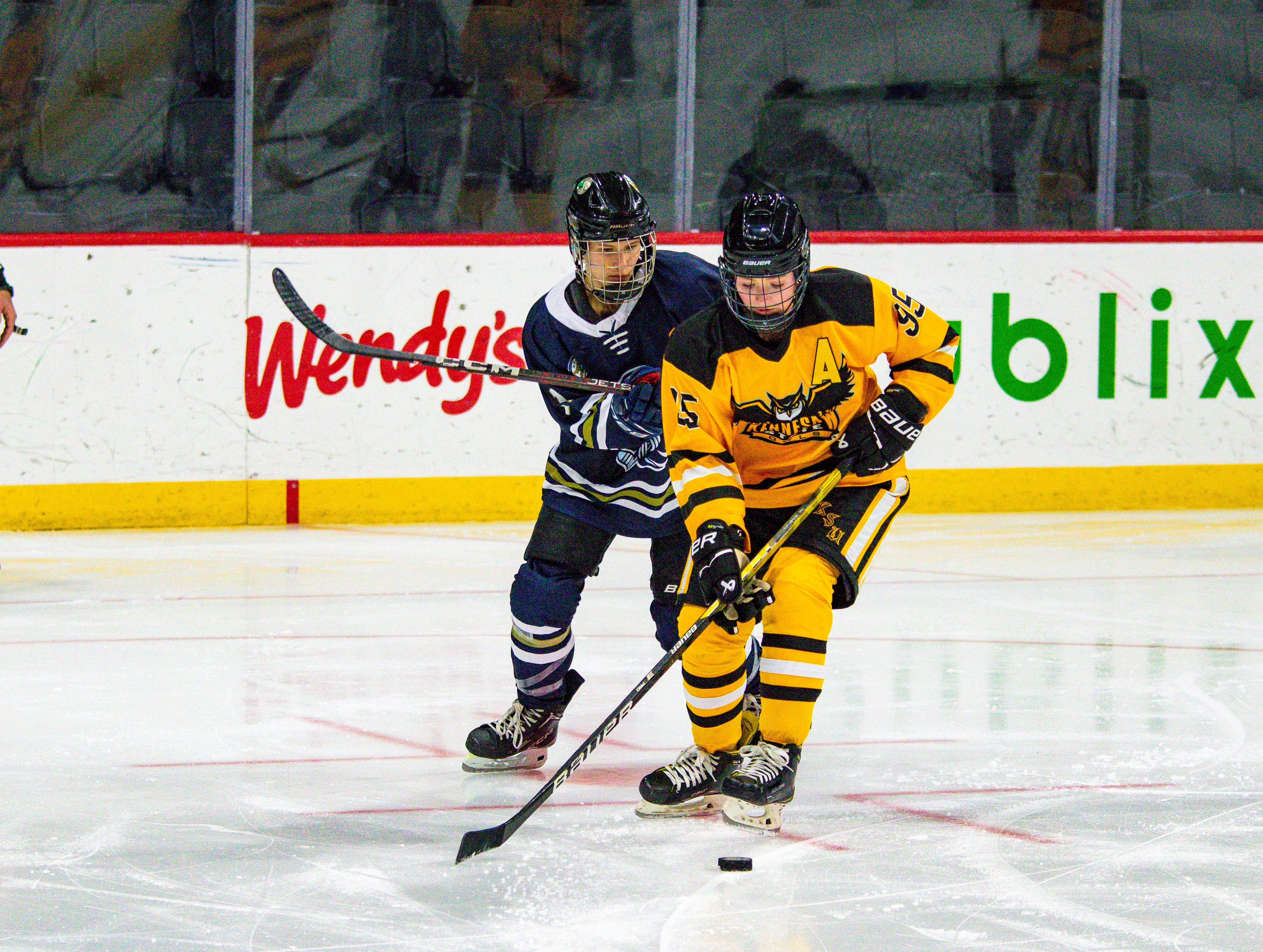 Kennesaw State Women's Ice Hockey Needs Your Help! campaign photo, 5 of 8