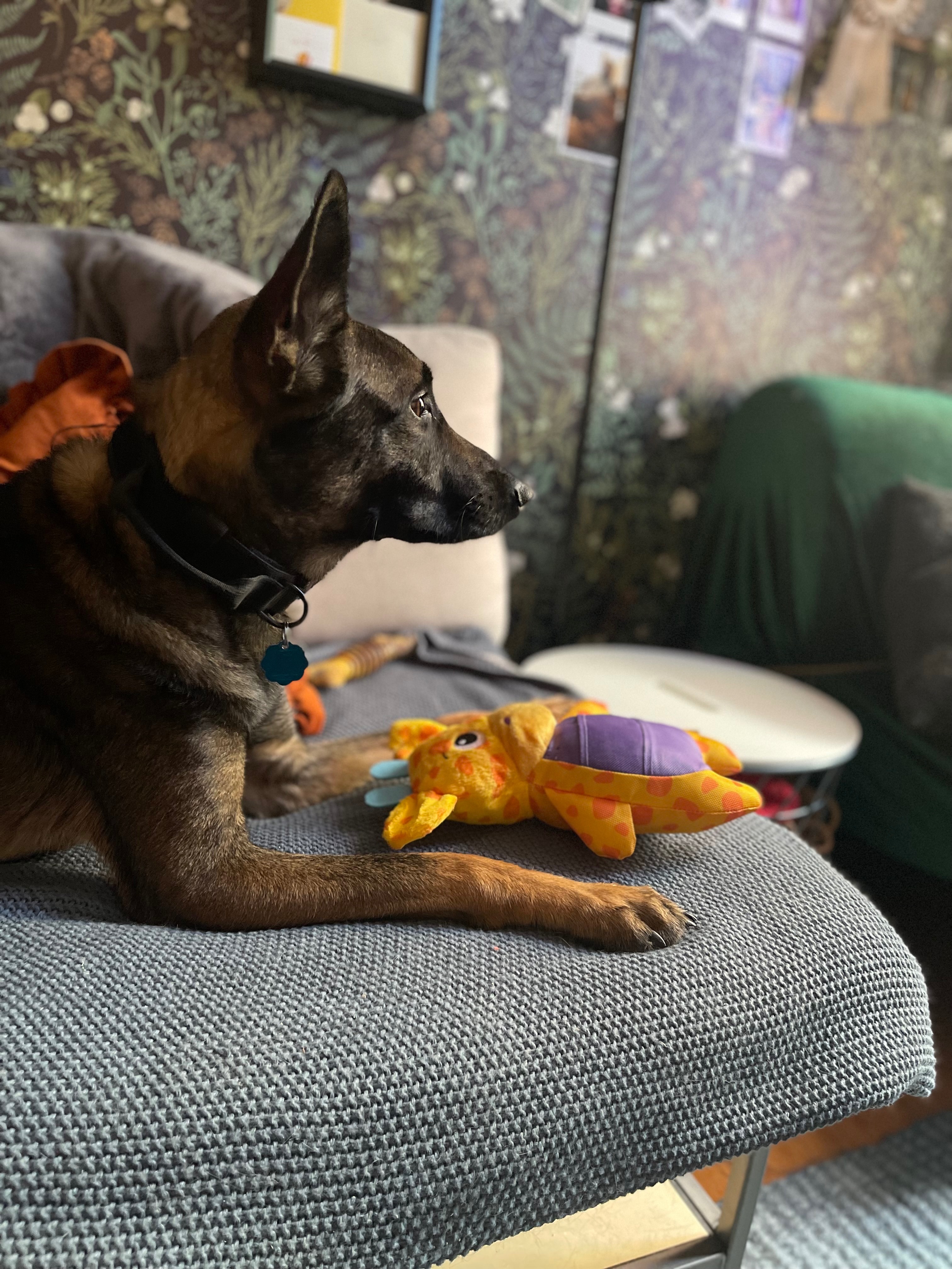 Bane's Dental Surgery: A Second Chance campaign photo, 5 of 6