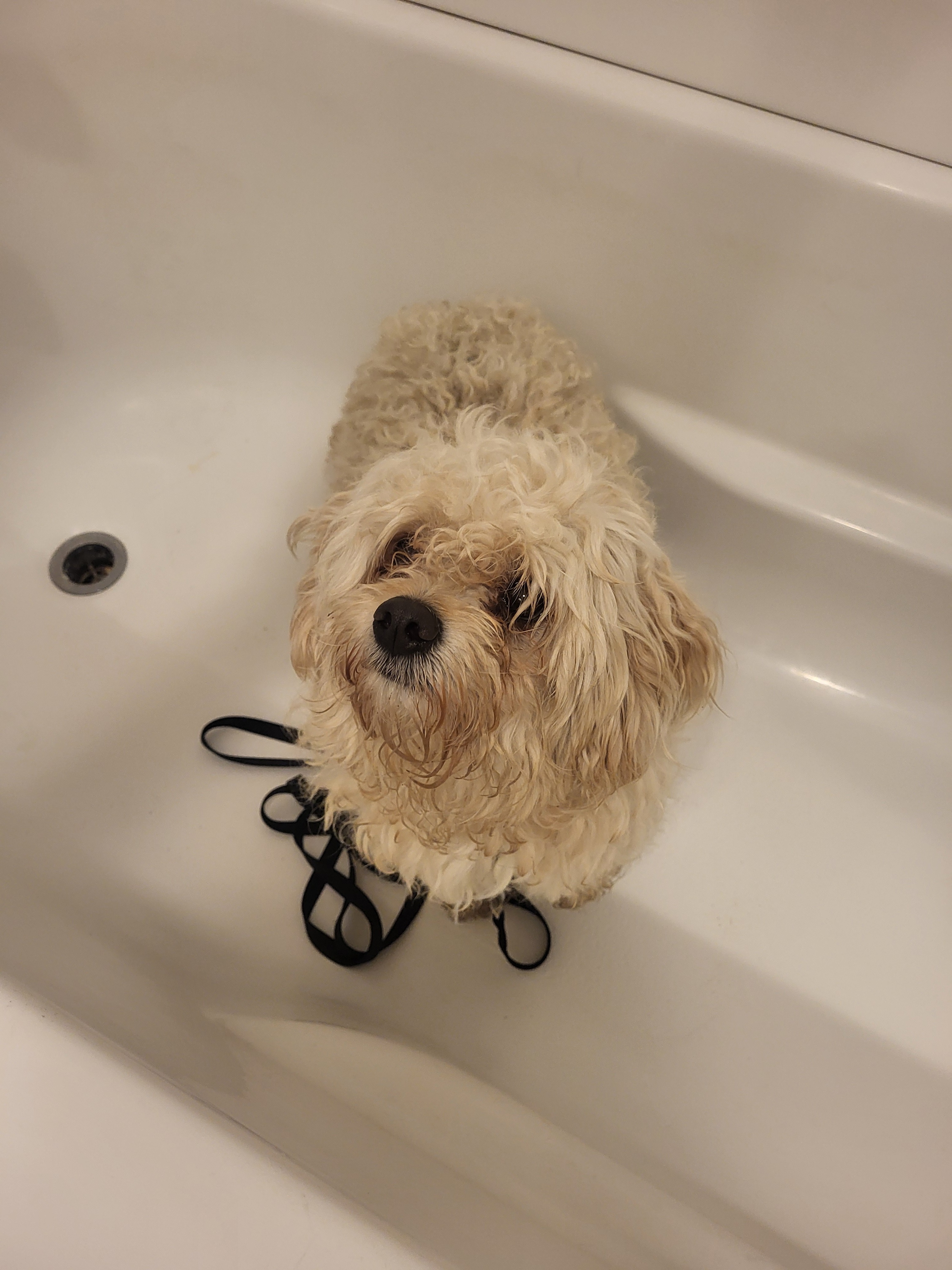Donate to Our Self-Funded Animal Rescue campaign photo, 6 of 7