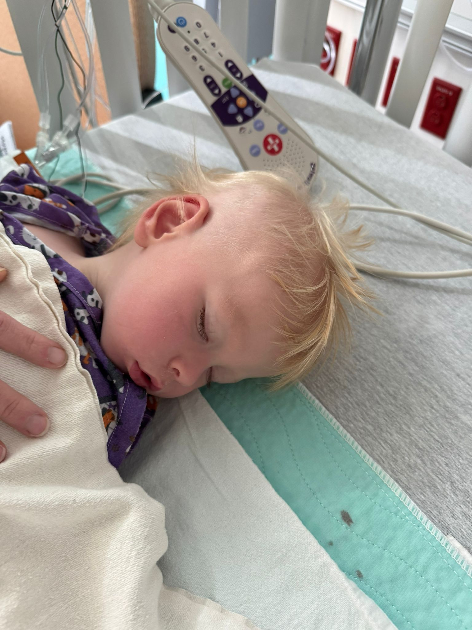 User-uploaded image 1