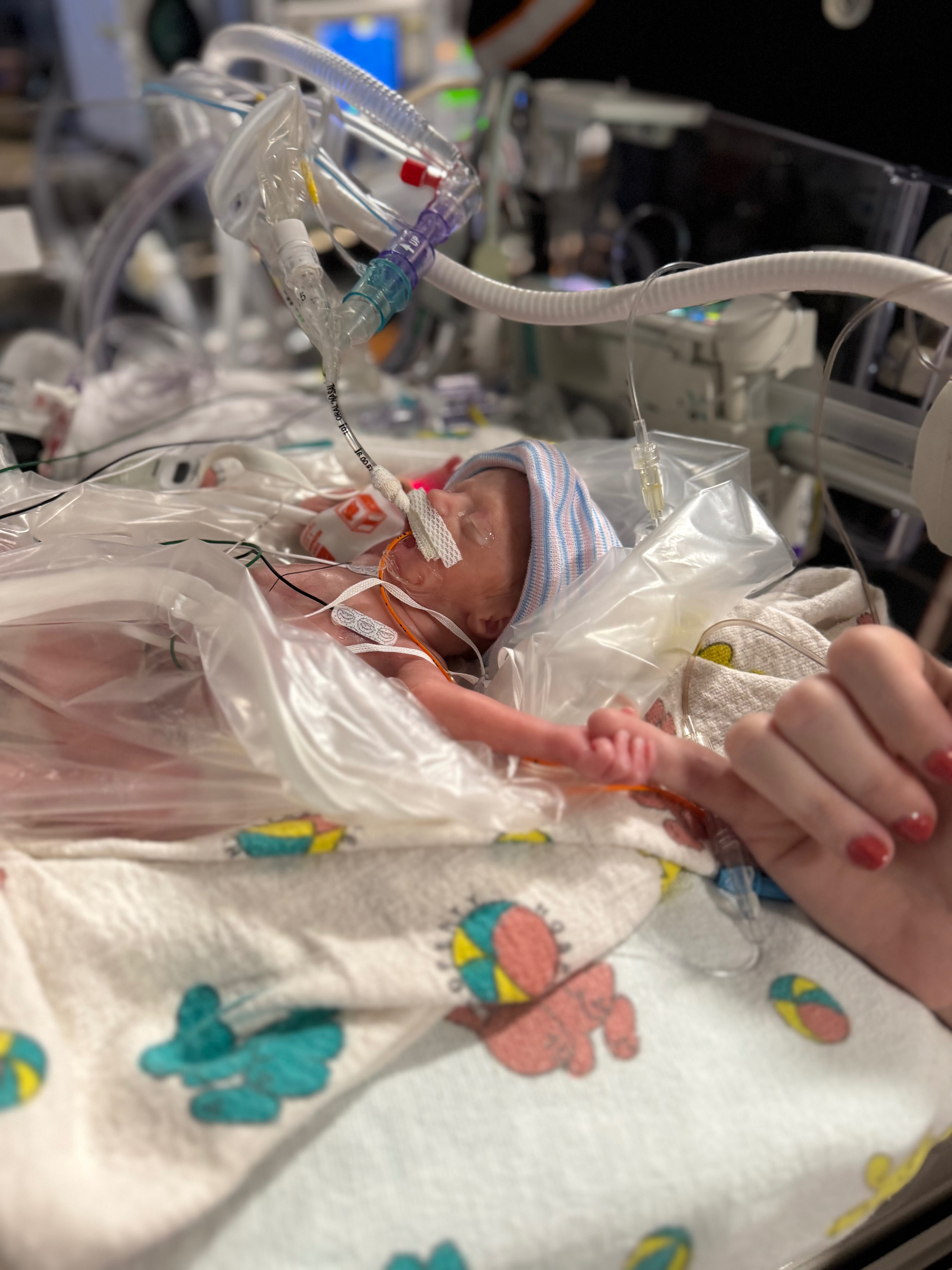Help Jamie and Ryan’s Twins Fight for Their Lives campaign photo, 6 of 7