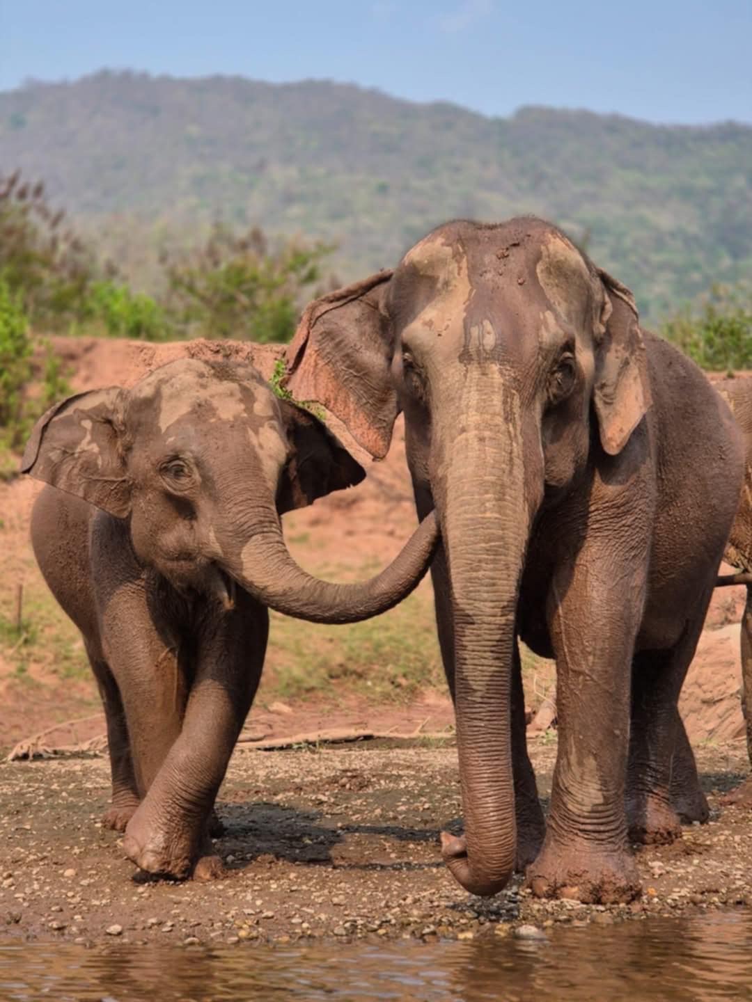 User-uploaded image 1