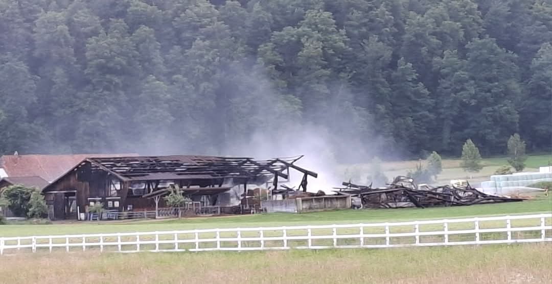 Vom Nutzer hochgeladenes Bild 1