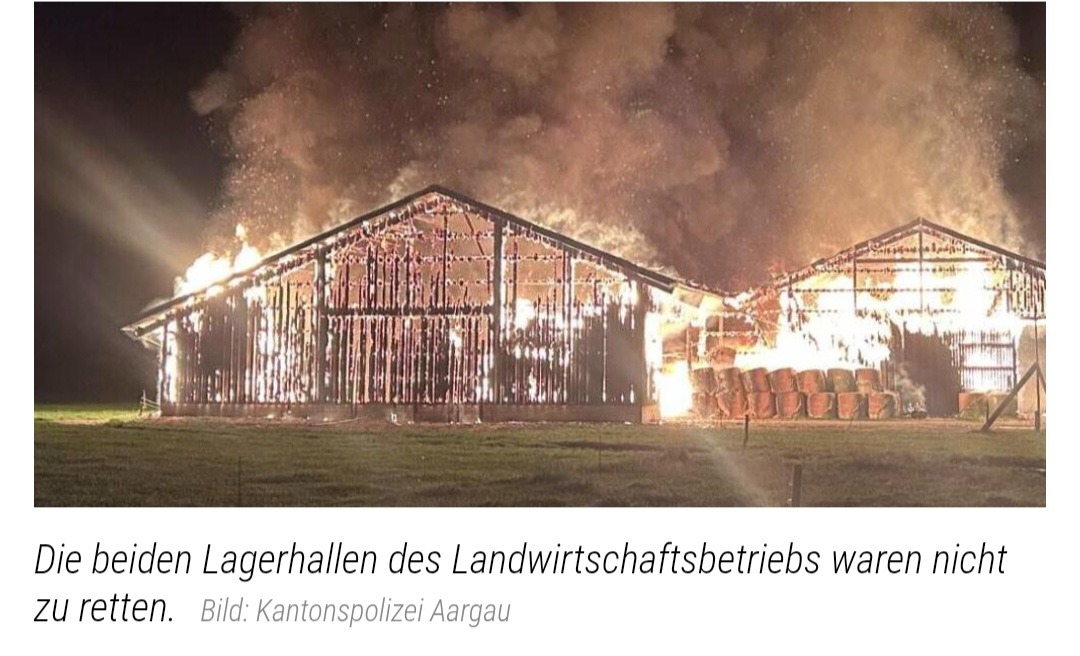 Vom Nutzer hochgeladenes Bild 2