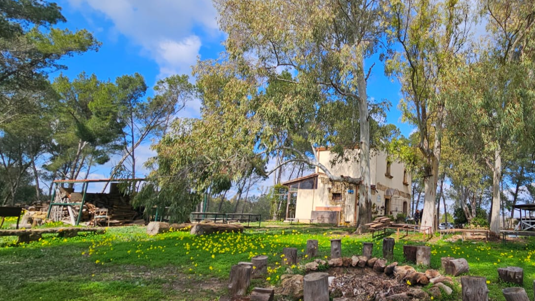Aiuta IL RAMARRO a realizzare il Palco degli Eucaliptus photo