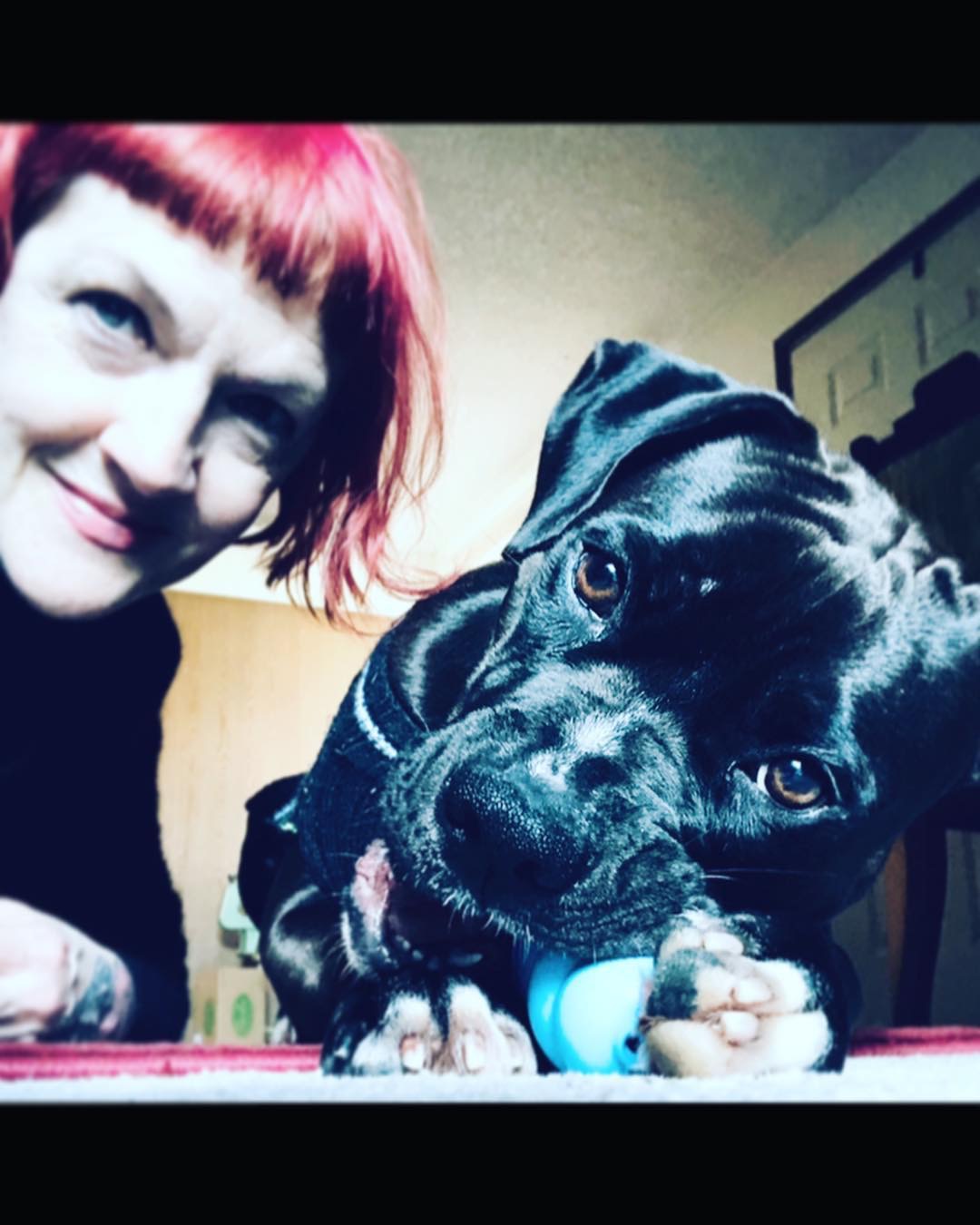 User-uploaded image 2