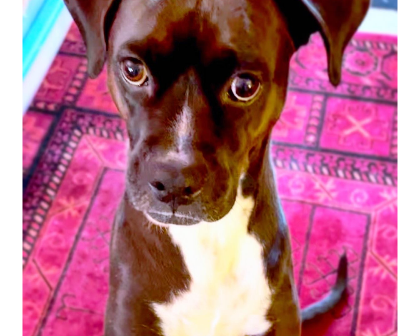 User-uploaded image 5