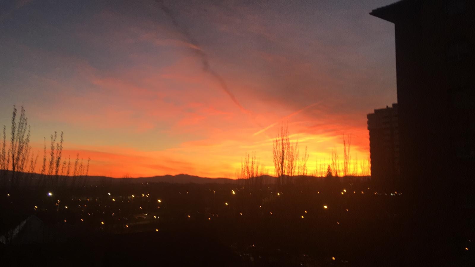 User-uploaded image 1