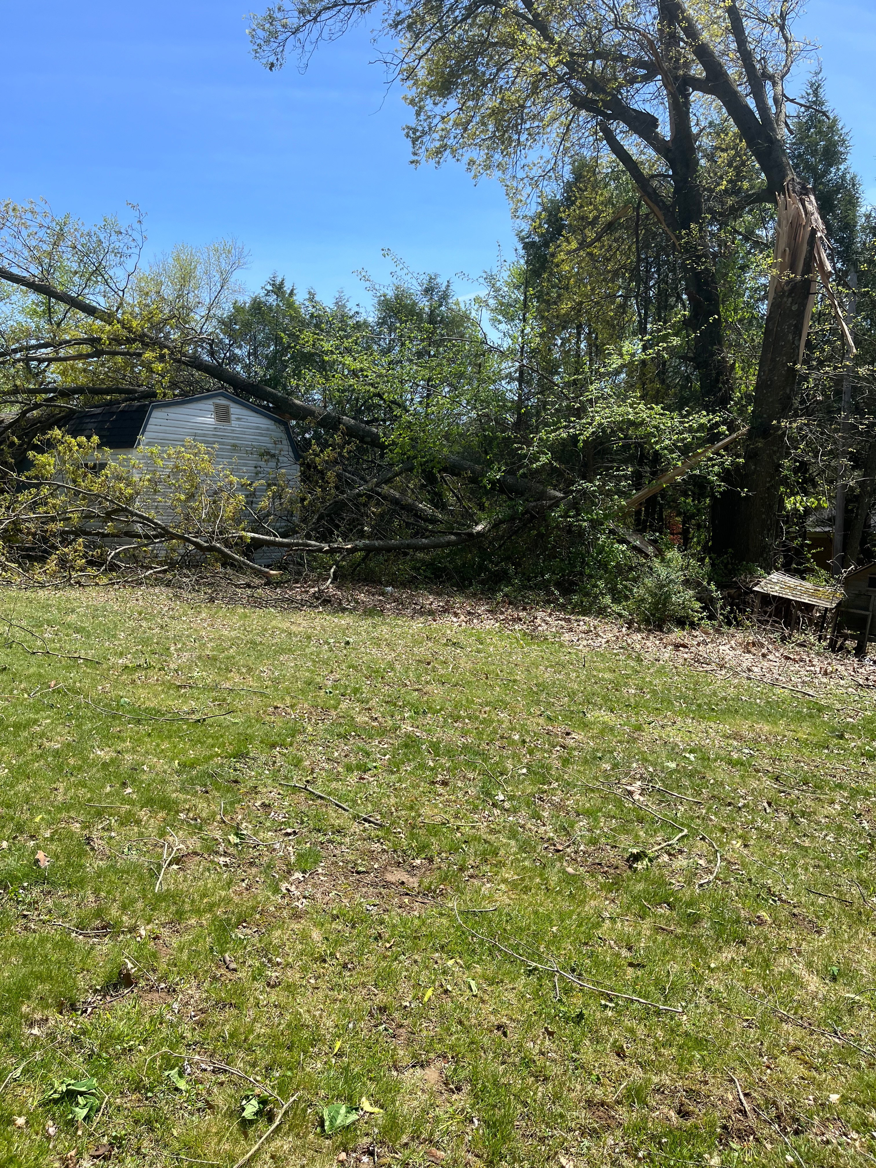 Assist Tami Shoff in Overcoming Storm Destruction campaign photo, 2 of 4