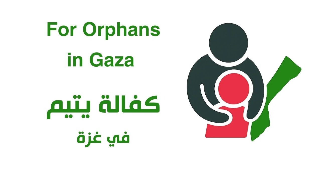 User-uploaded image 1