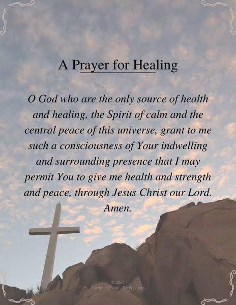 User-uploaded image 1