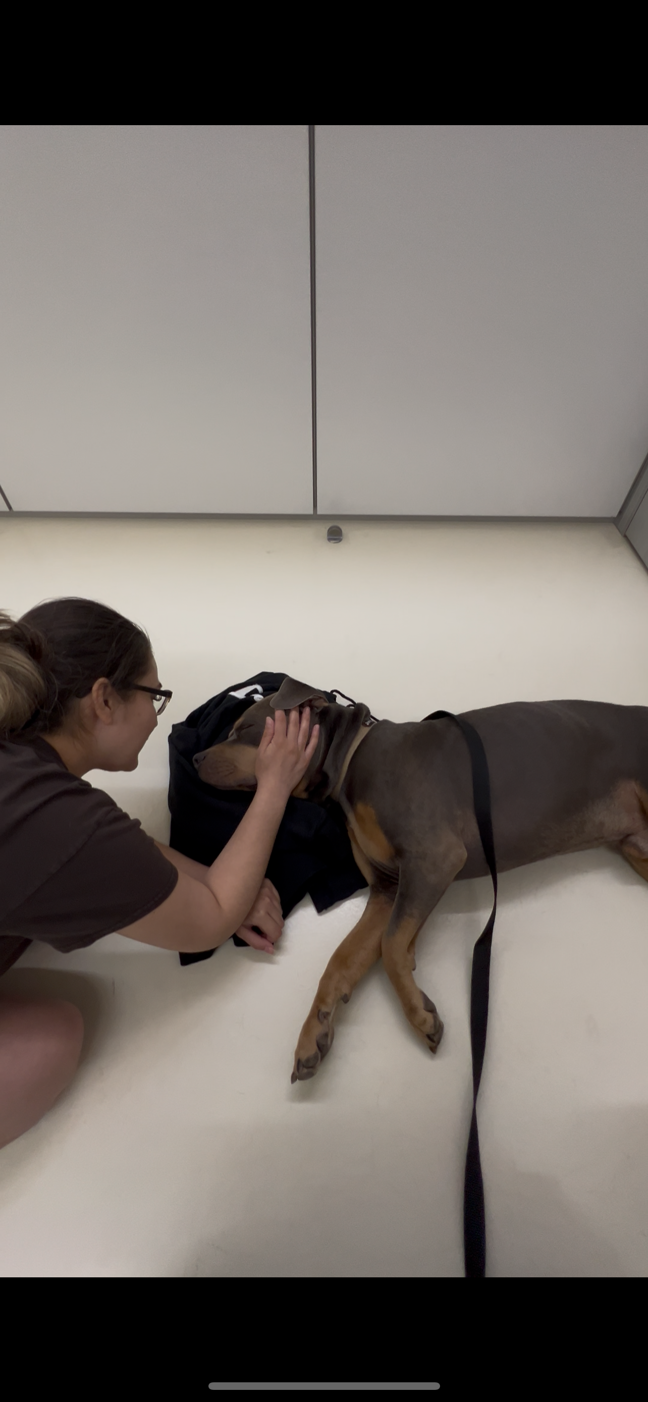 Help Simba Get The Care He Needs campaign photo, 7 of 8