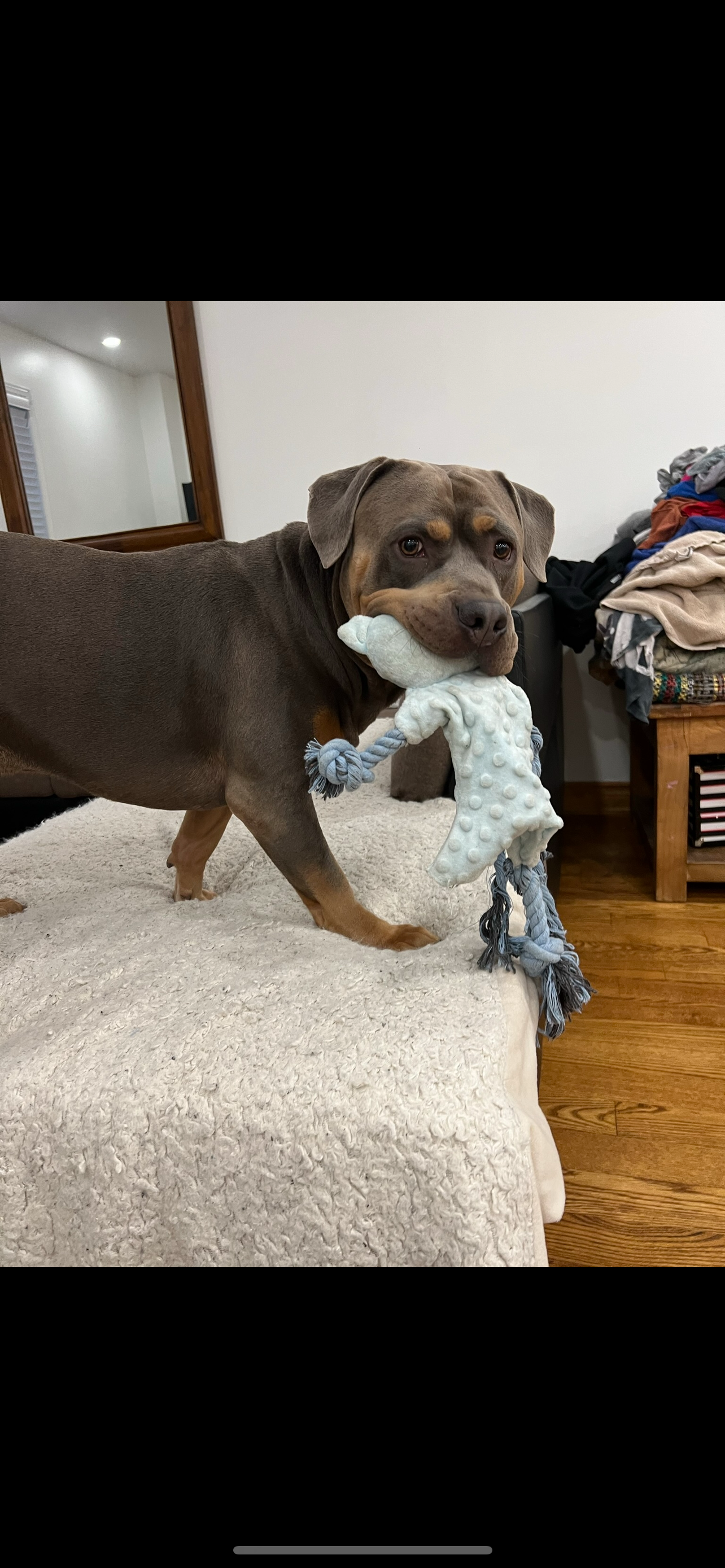 Help Simba Get The Care He Needs campaign photo, 4 of 8