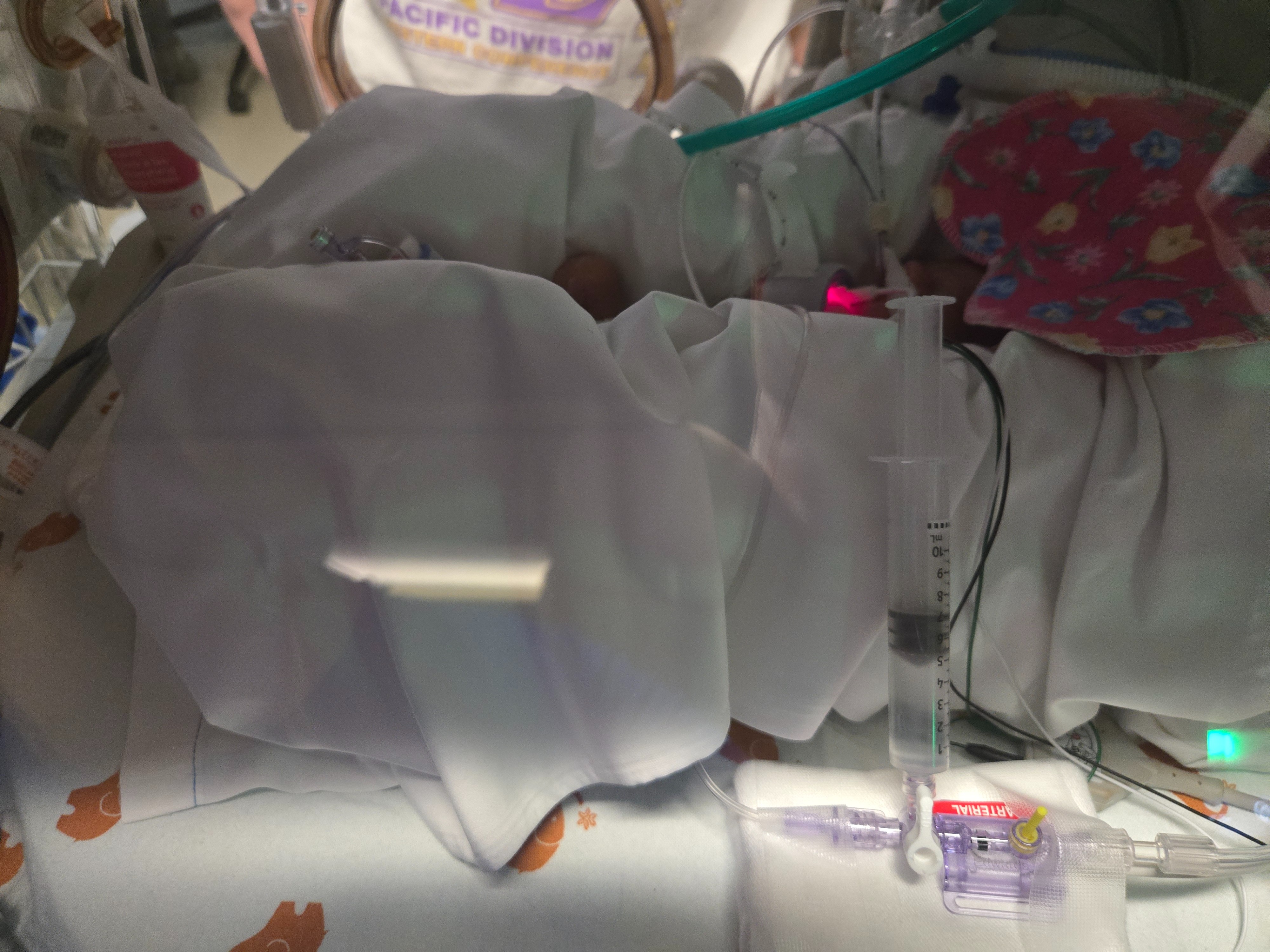 Support Baby Natalie: Born at 26 Weeks campaign photo, 2 of 4