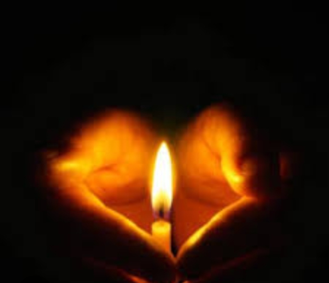 User-uploaded image 1