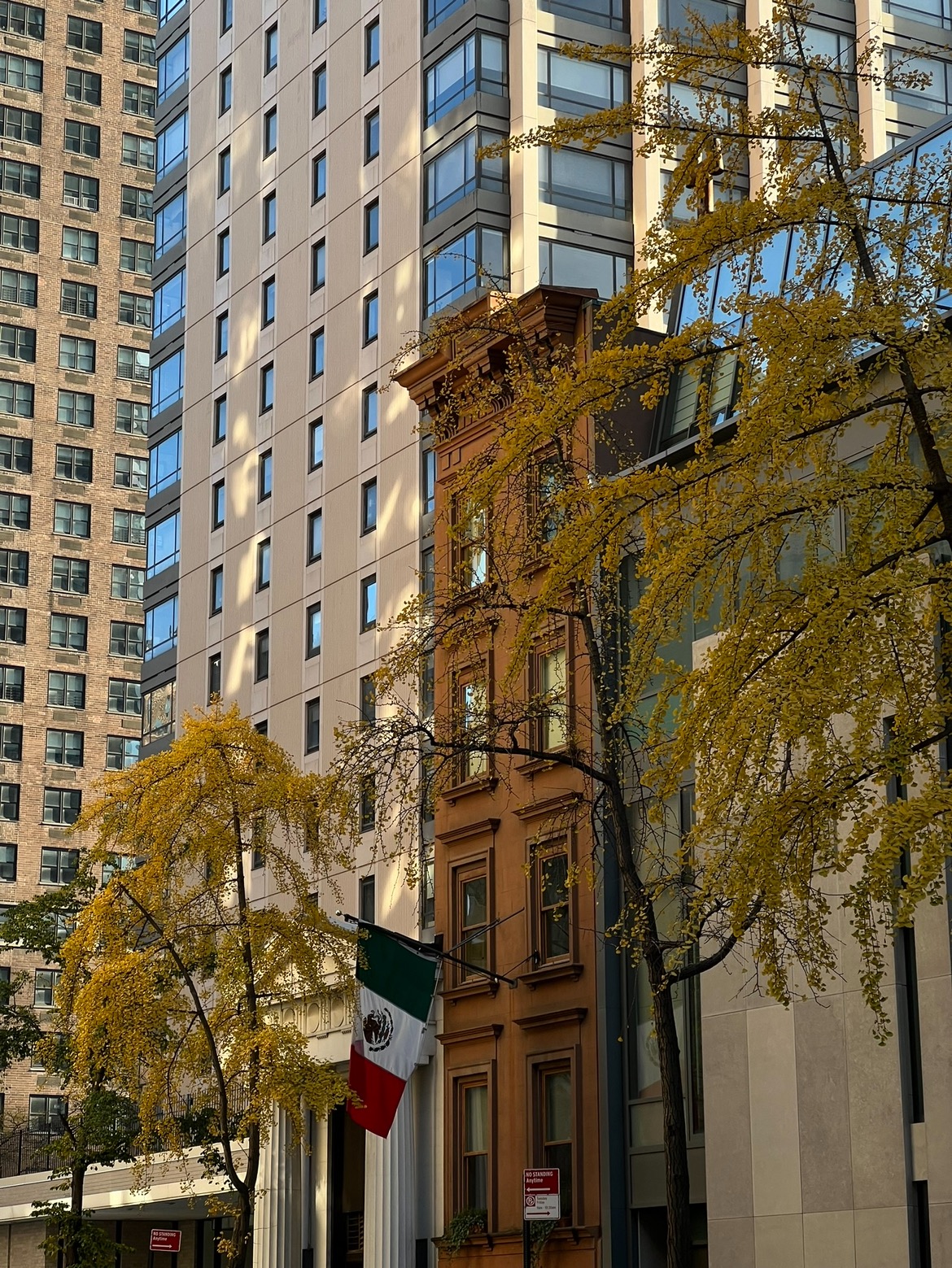 User-uploaded image 1