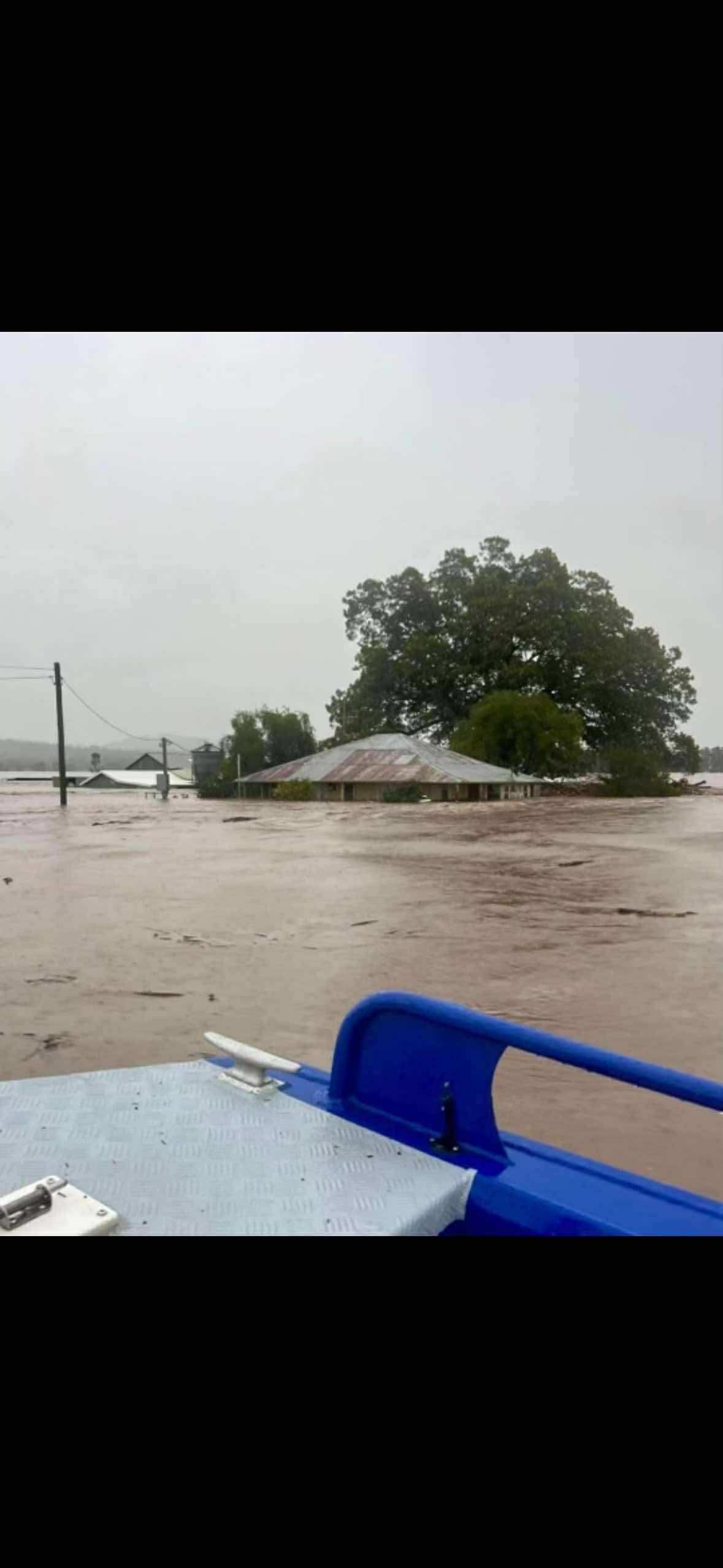 Johnston Bros. Jersey Stud Flood 2025 campaign photo, 2 of 8