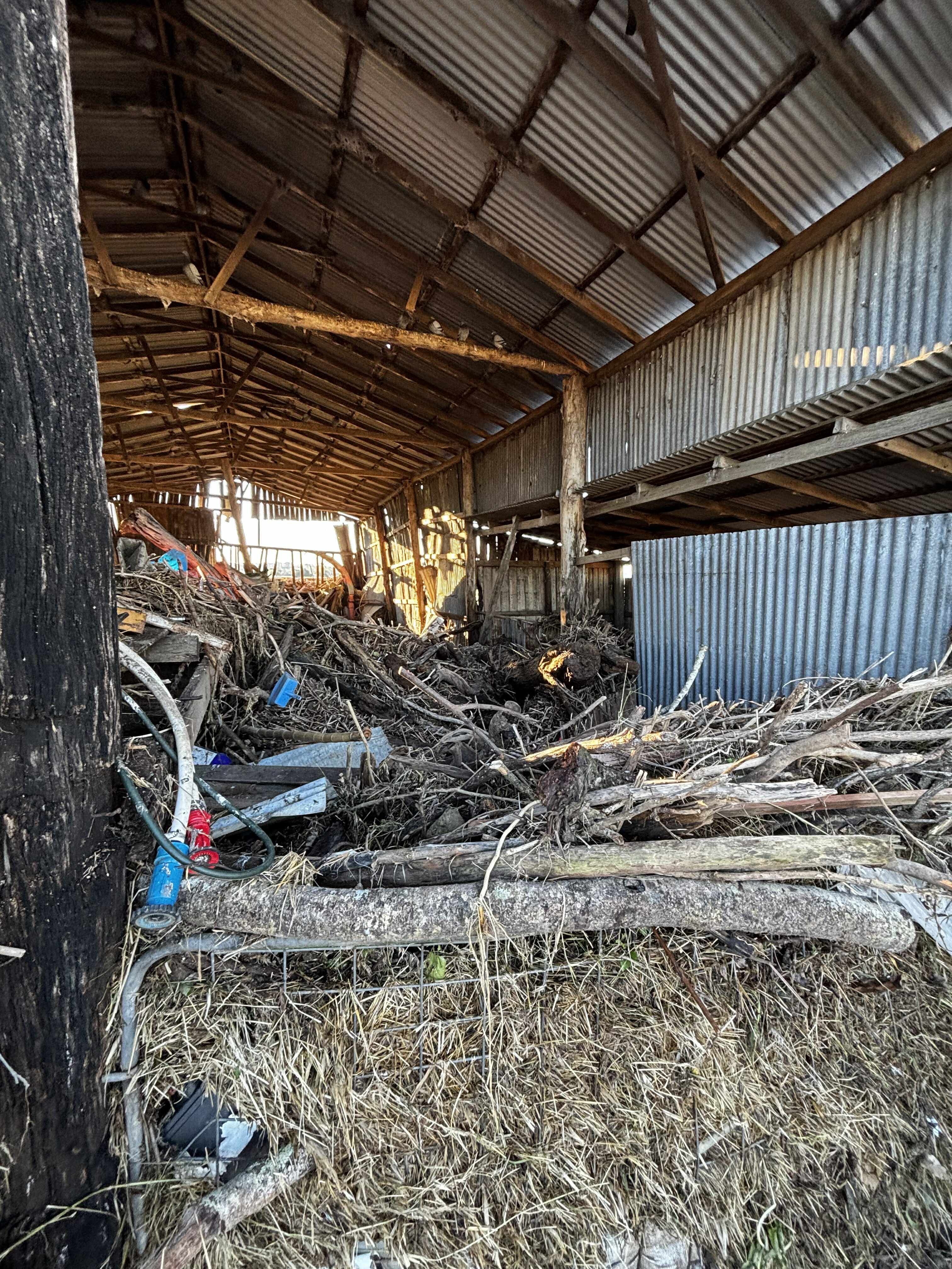 Johnston Bros. Jersey Stud Flood 2025 campaign photo, 5 of 8