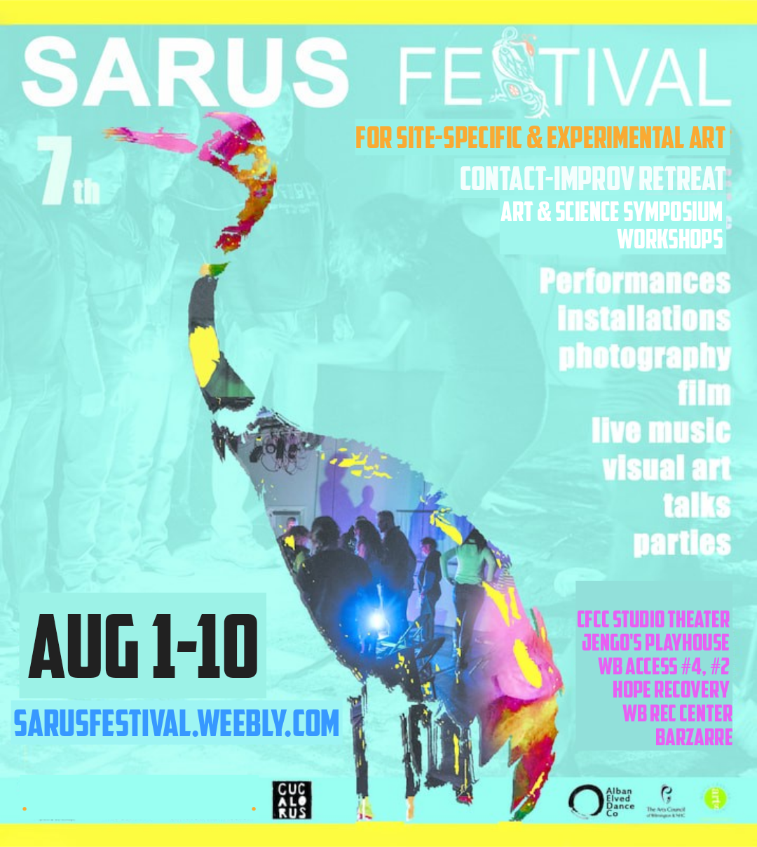 Help Sarus Festival for Site-specific & Experimental Art campaign photo, 2 of 4
