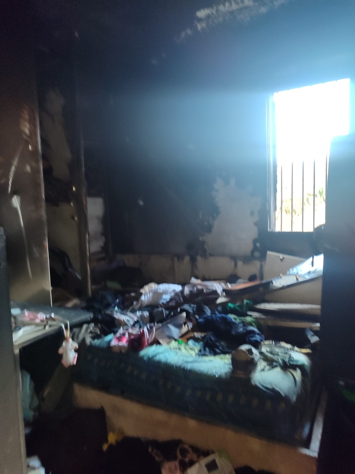 User-uploaded image 1