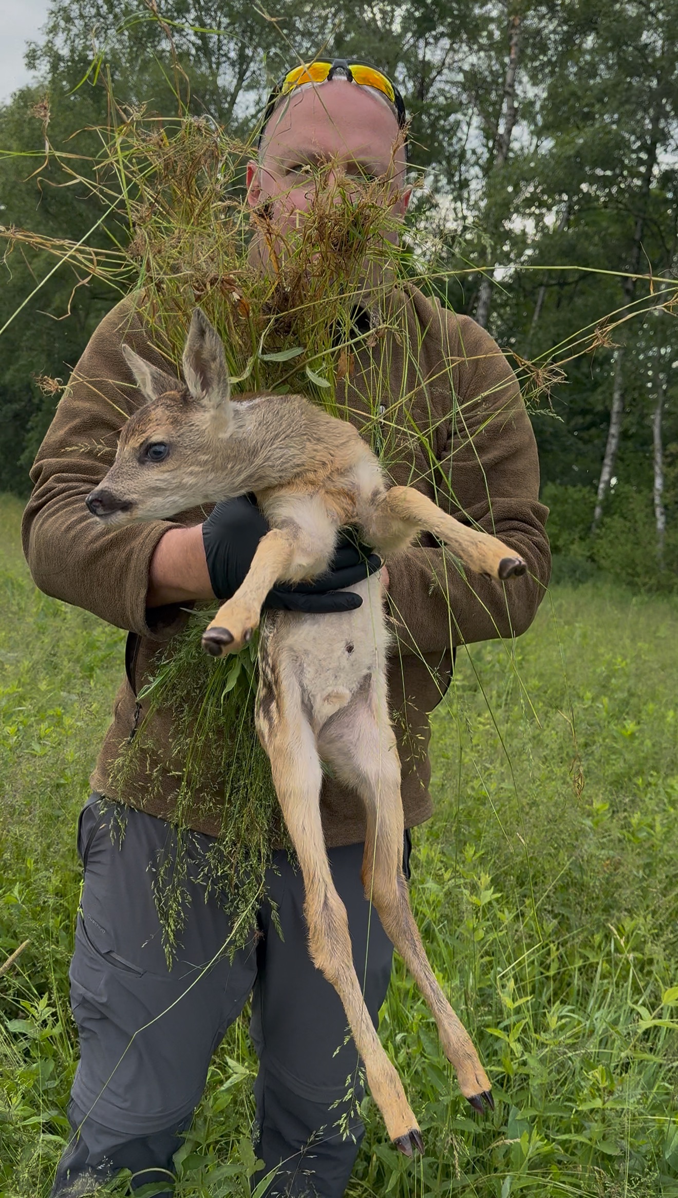 Wildtierrettung Erzgebirge – Gemeinsam für die Wildtiere campaign photo, 4 of 7