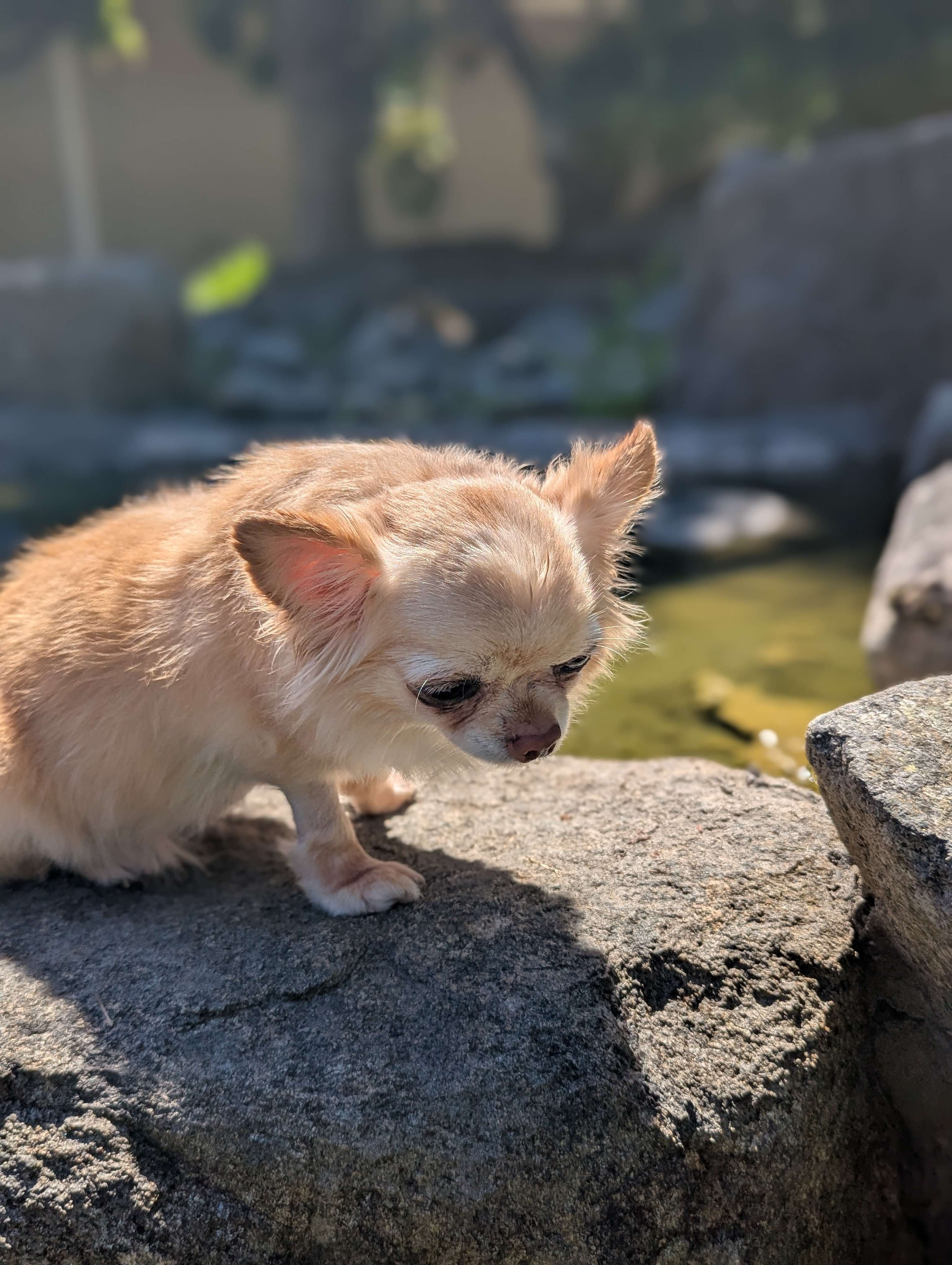 Imagen cargada por el usuario 1