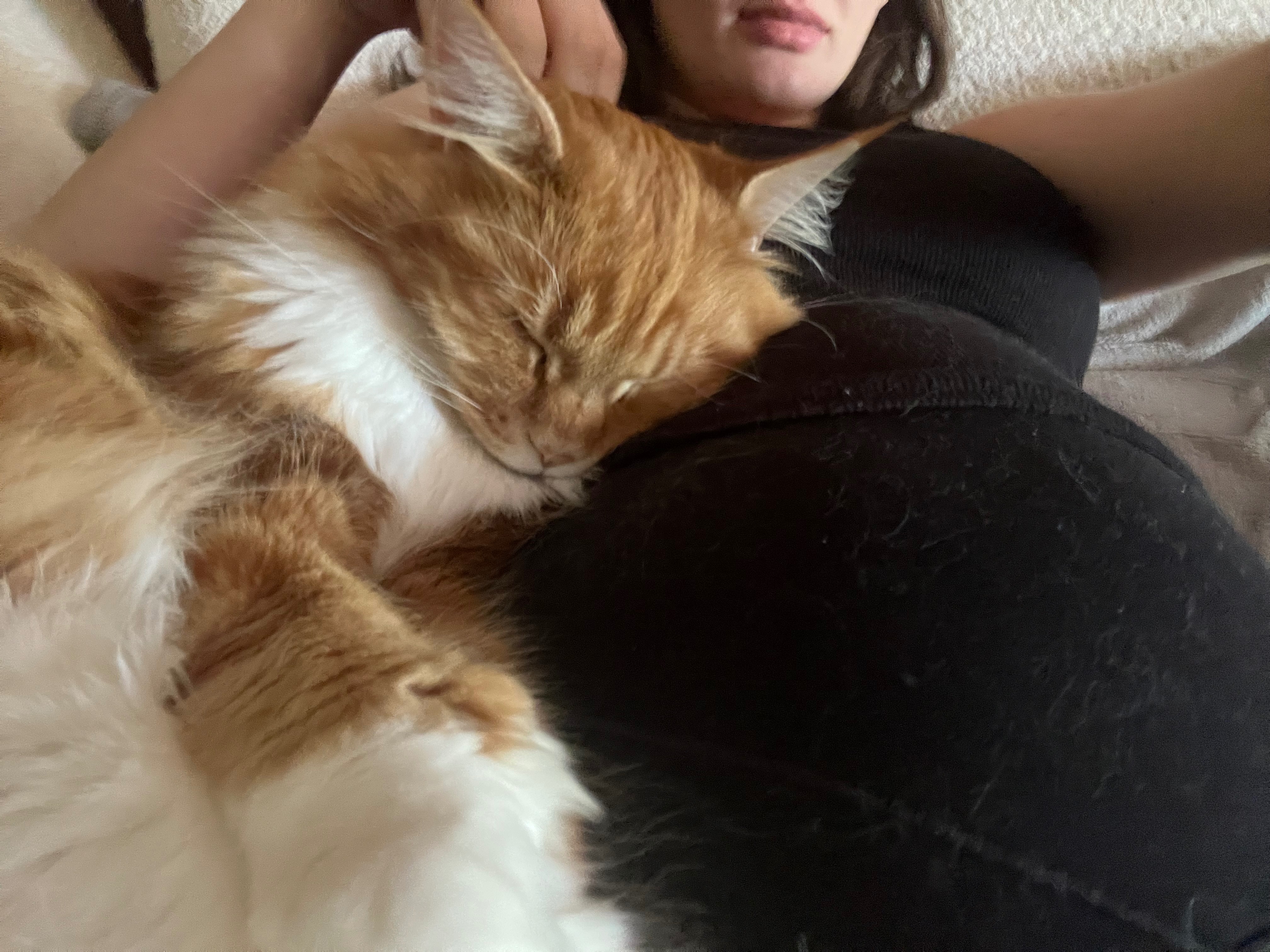 Save Mabel: Life-Saving Surgery Needed campaign photo, 4 of 8