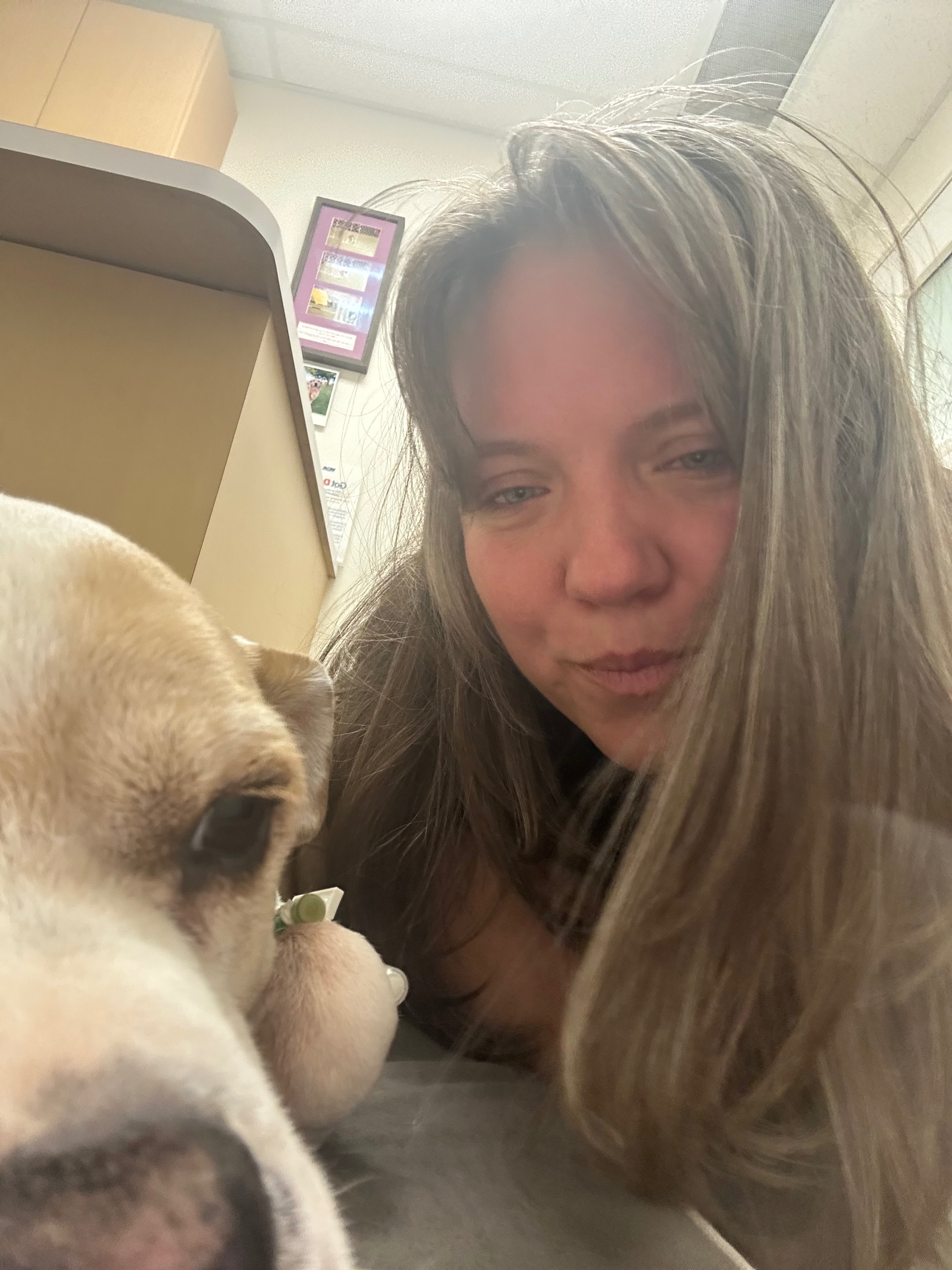Lola's Life-Saving Surgery Fundraiser campaign photo, 4 of 7