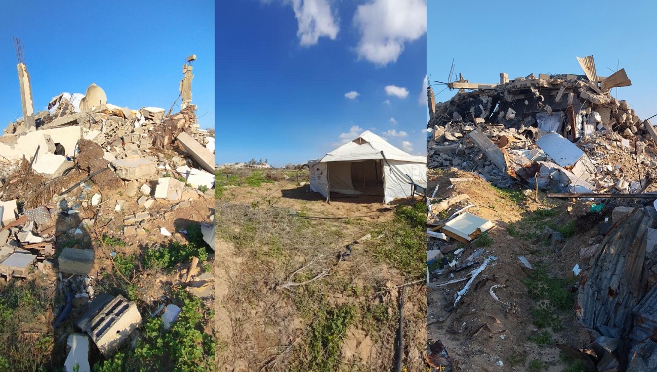 User-uploaded image 1