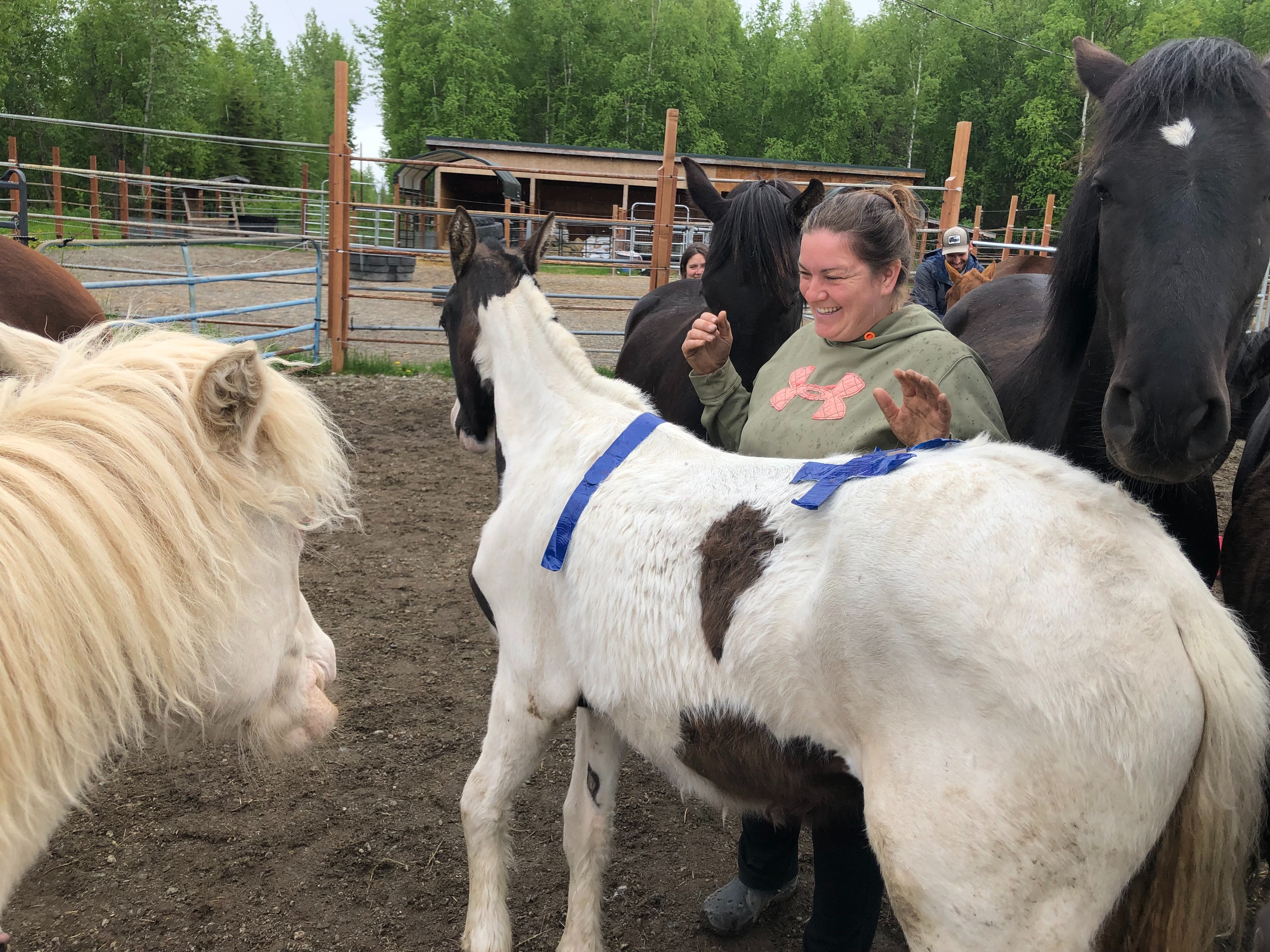 My Sister In Health Crisis While Keeping 13 Horses Alive campaign photo, 7 of 8