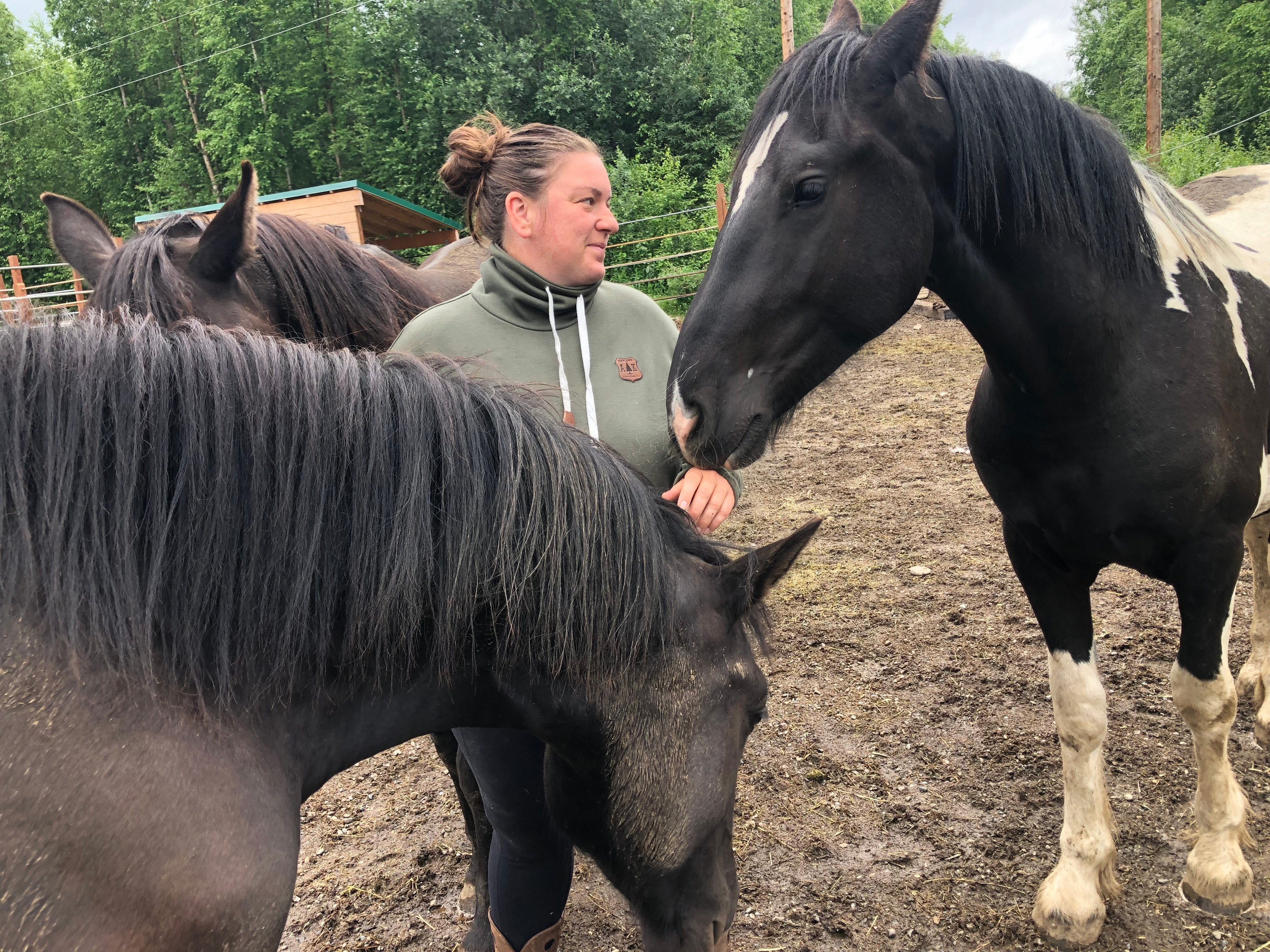 My Sister In Health Crisis While Keeping 13 Horses Alive campaign photo, 6 of 8