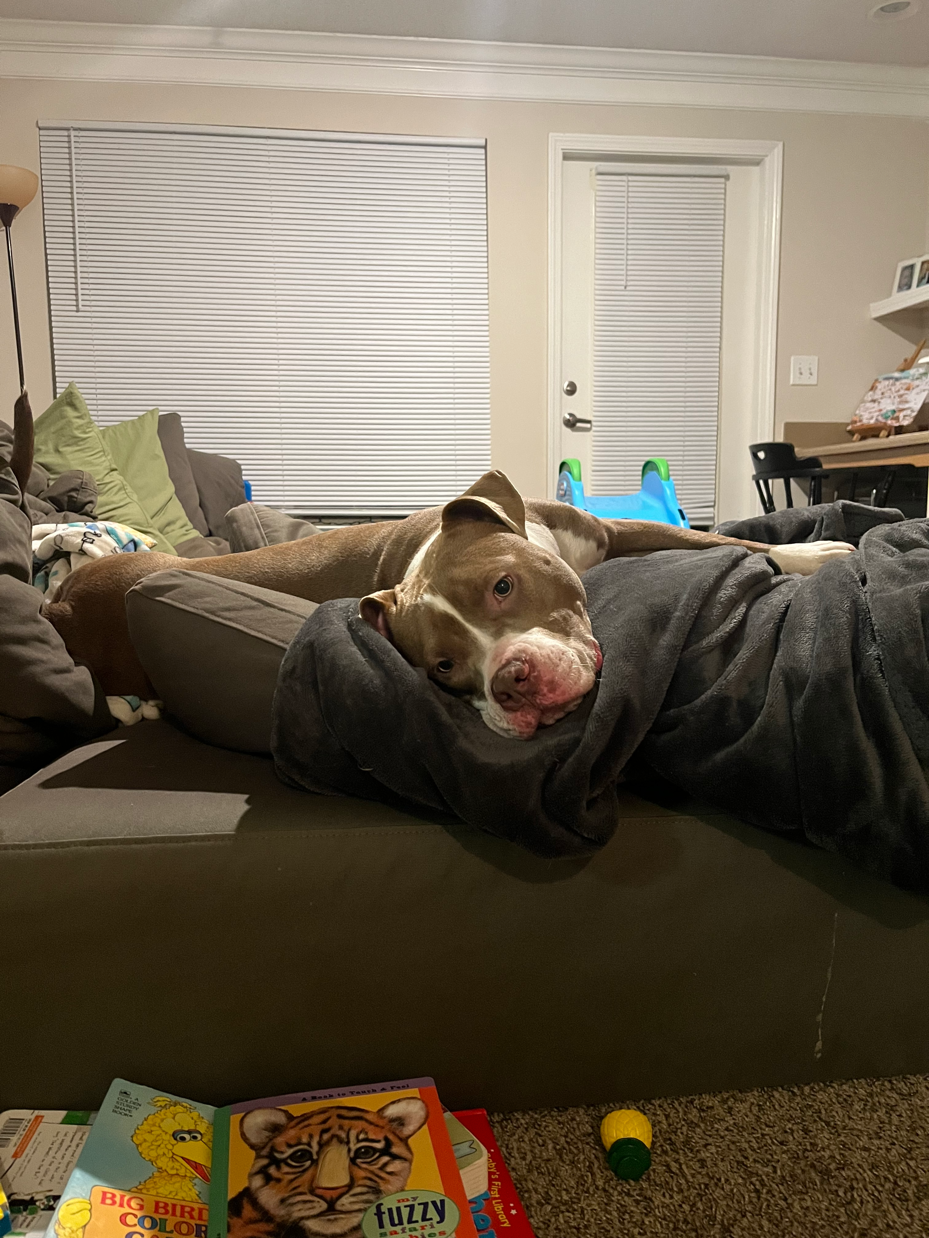 Restore Nipsey's Joy: Fund Her ACL Surgery campaign photo, 5 of 8