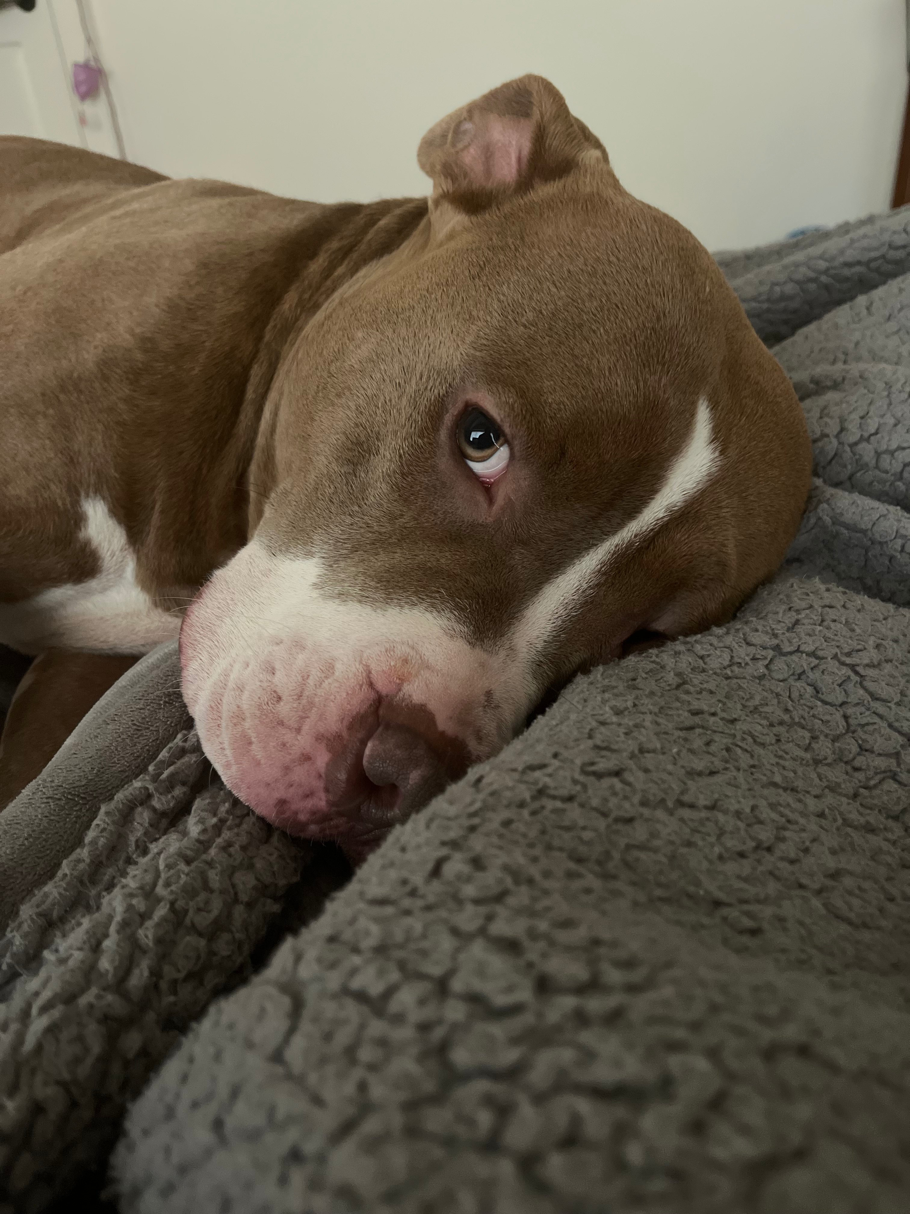 Restore Nipsey's Joy: Fund Her ACL Surgery campaign photo, 6 of 8
