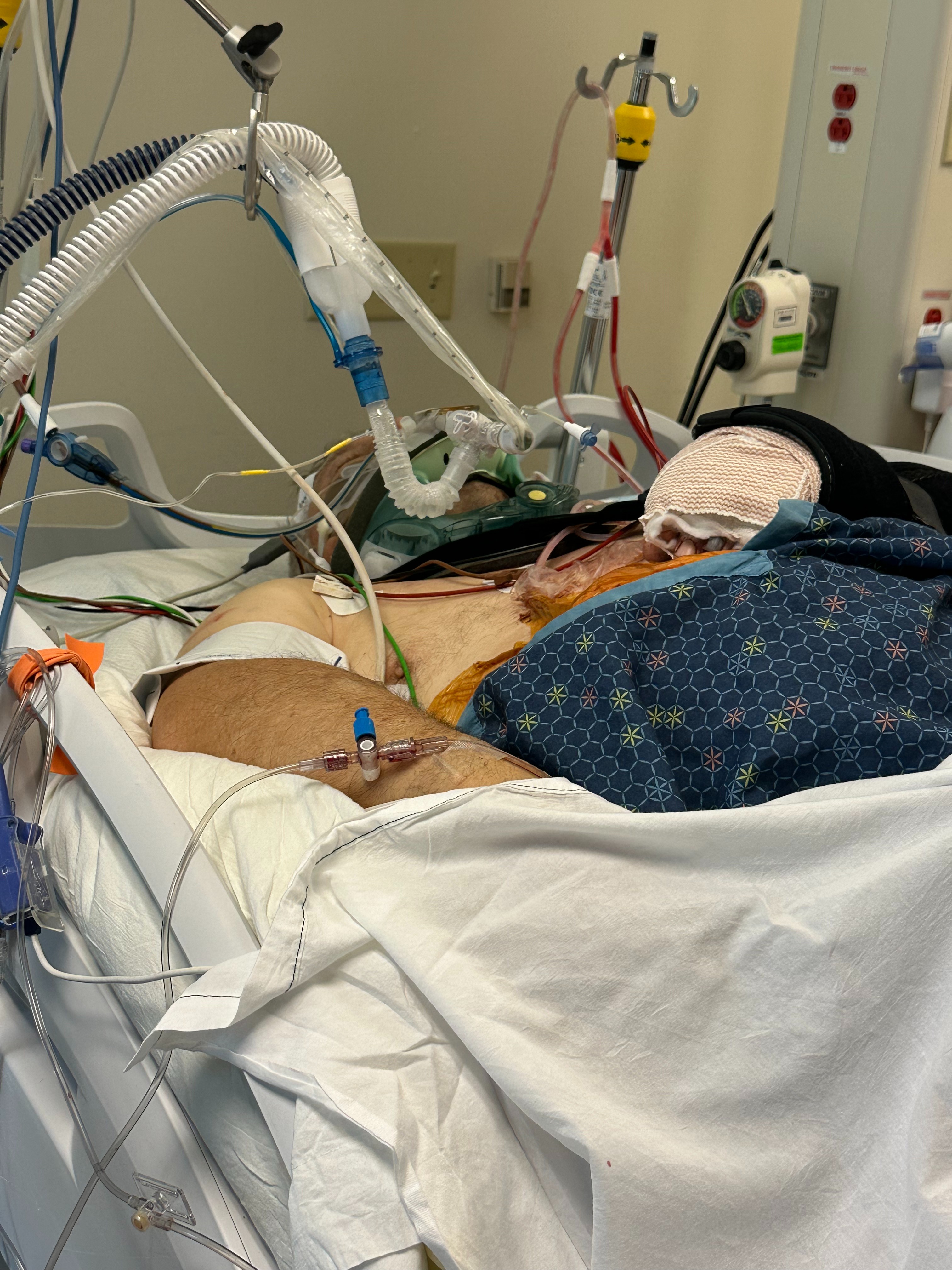 User-uploaded image 1