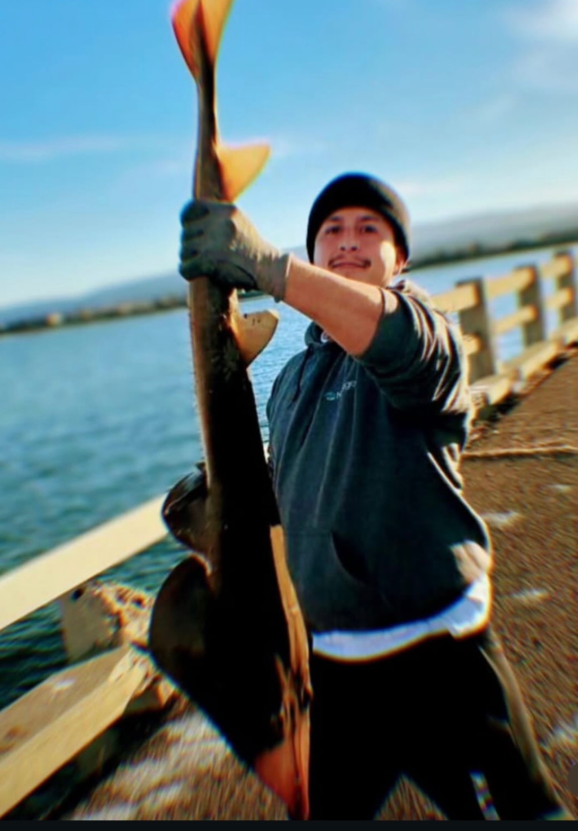 User-uploaded image 1