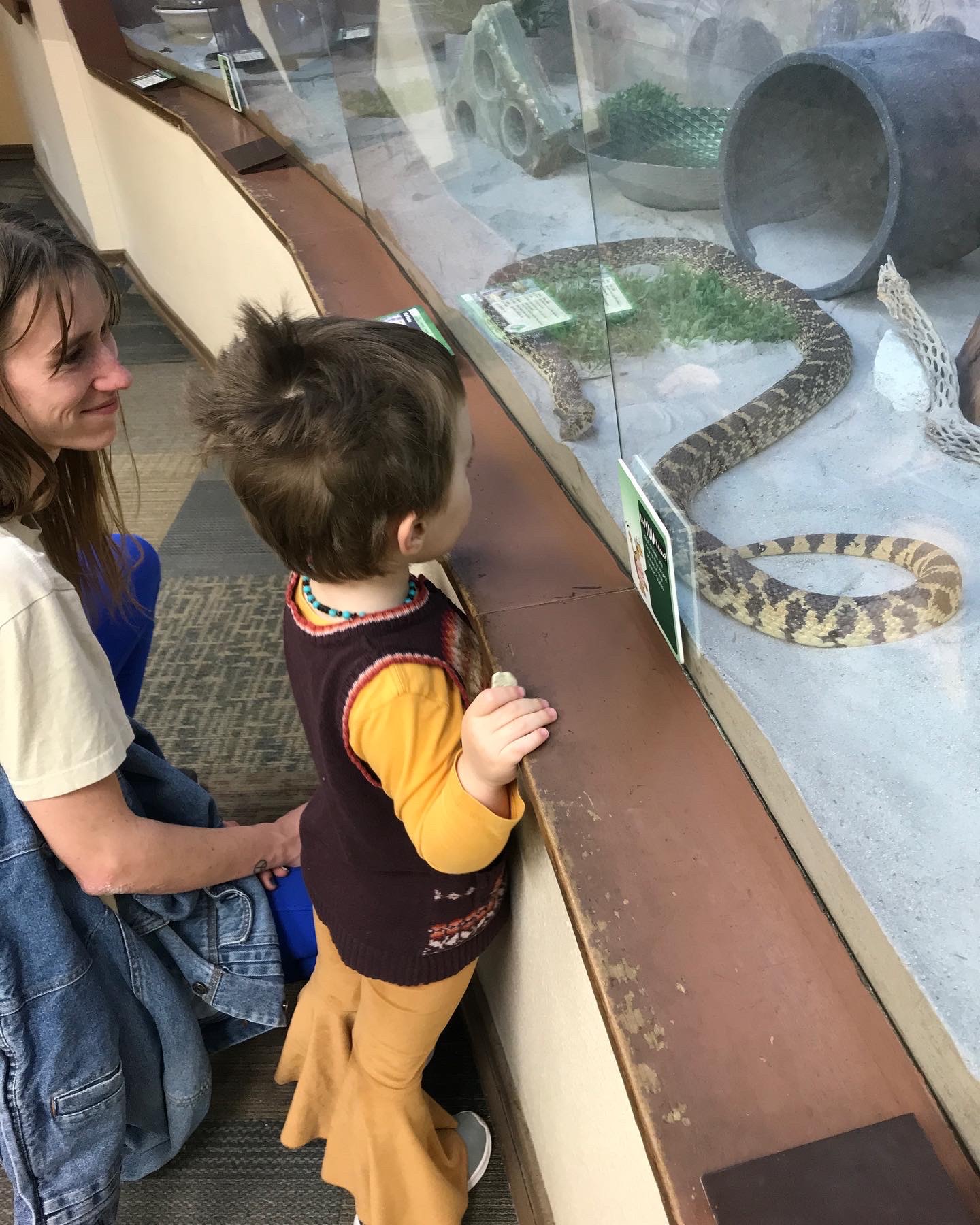 Vom Nutzer hochgeladenes Bild 1