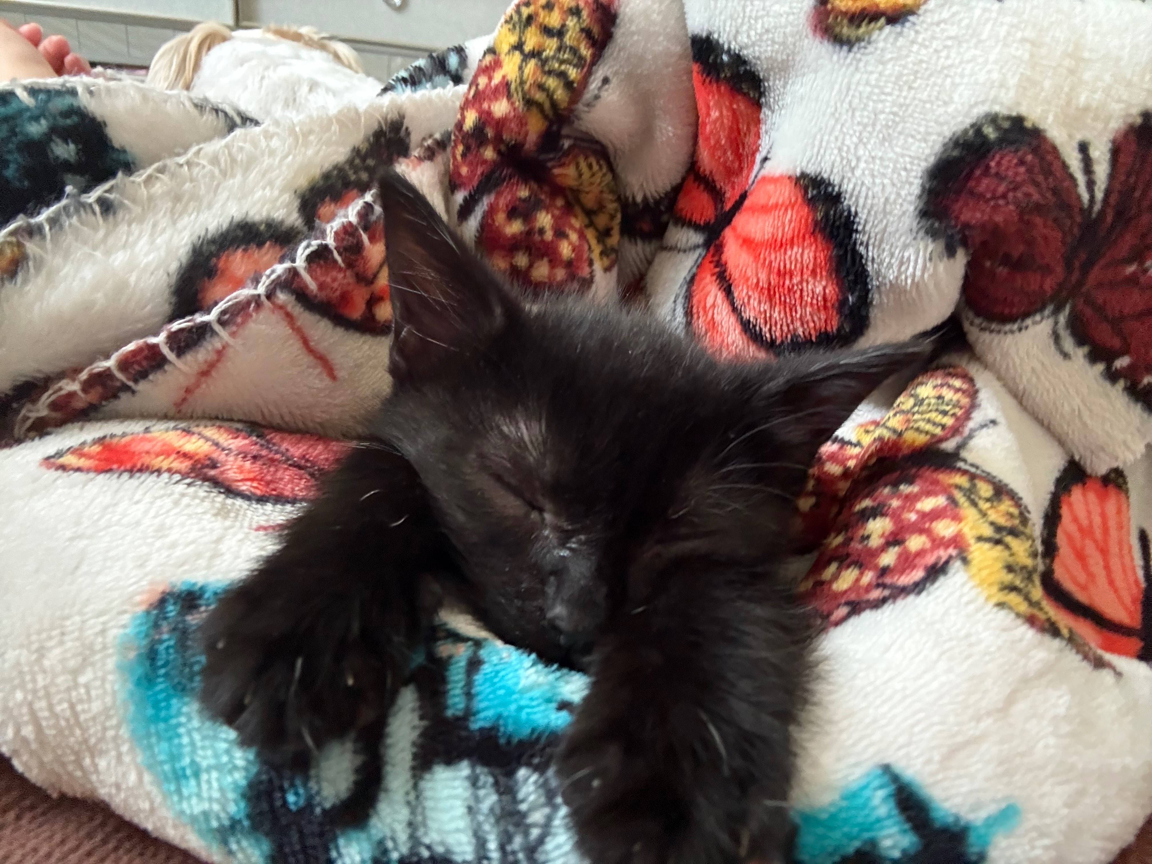 Baby Emmy’s Medical Bills campaign photo, 2 of 6